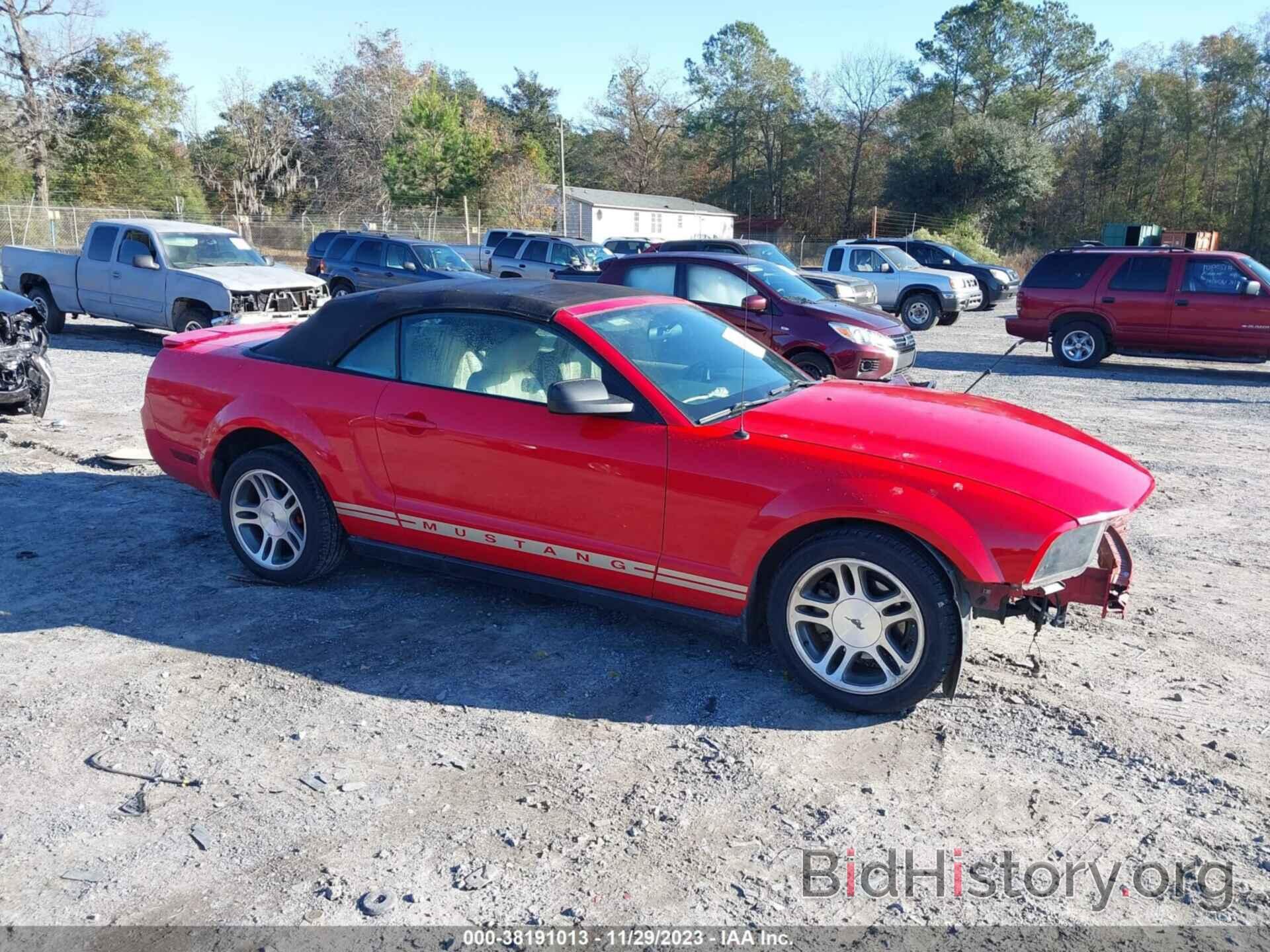 Photo 1ZVHT84N185103888 - FORD MUSTANG 2008