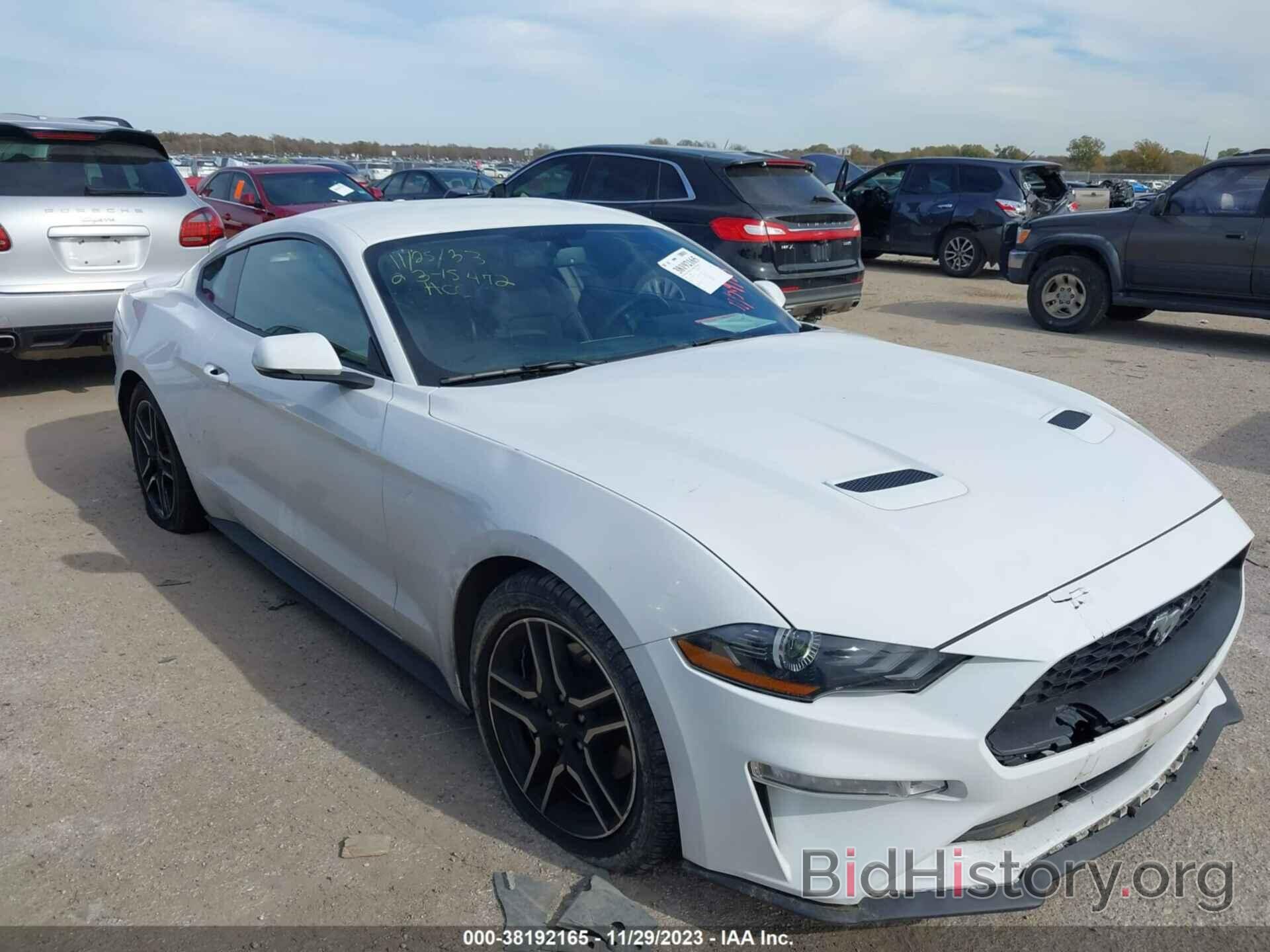 Photo 1FA6P8TH0K5186561 - FORD MUSTANG 2019