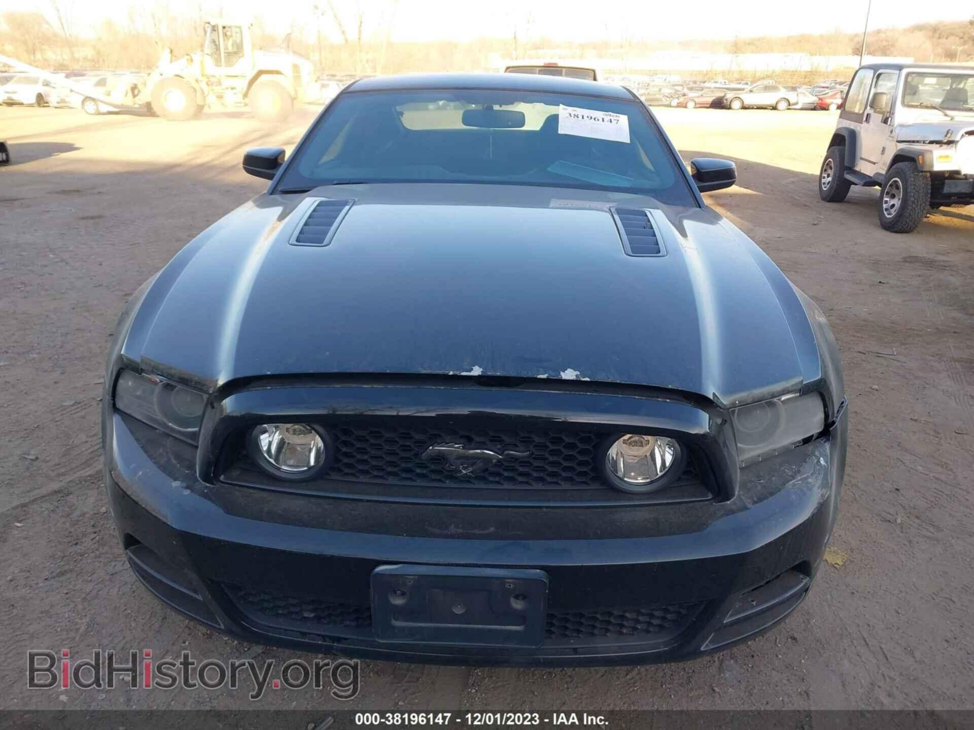2013 FORD MUSTANG - VIN: 1ZVBP8CF1D5262179 - Фото 6