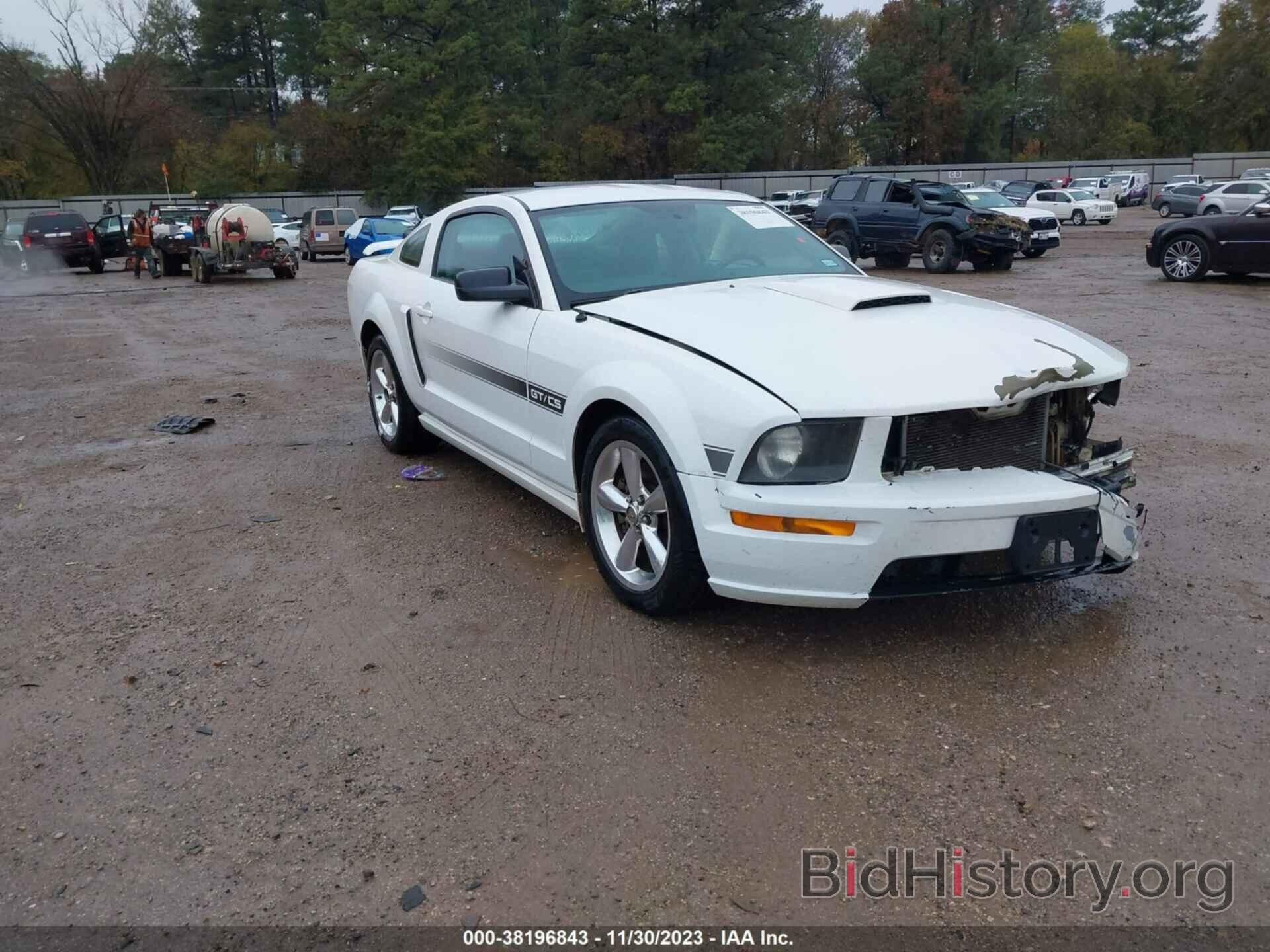 Photo 1ZVHT82H685167955 - FORD MUSTANG 2008