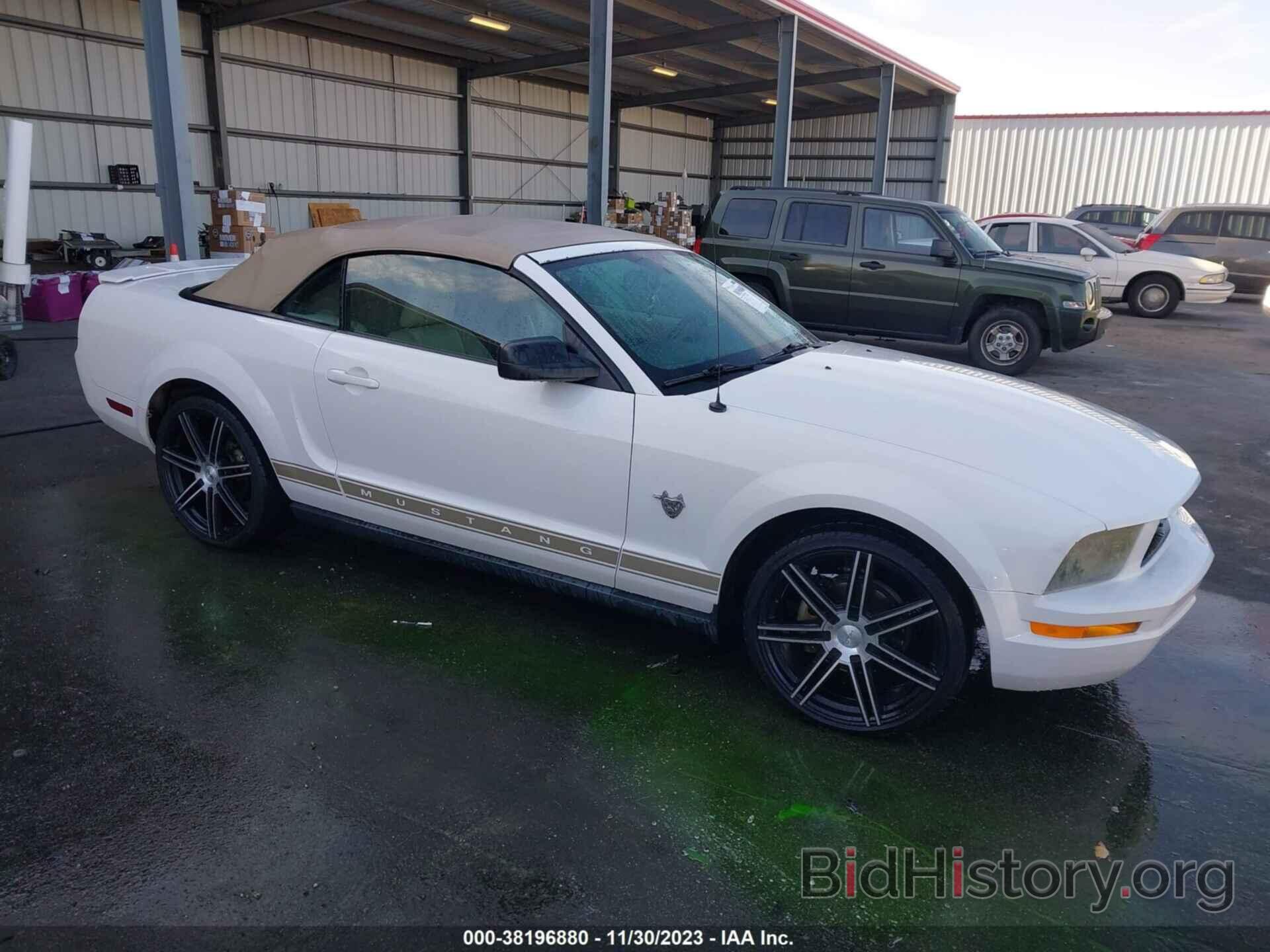 Photo 1ZVHT84N395144847 - FORD MUSTANG 2009