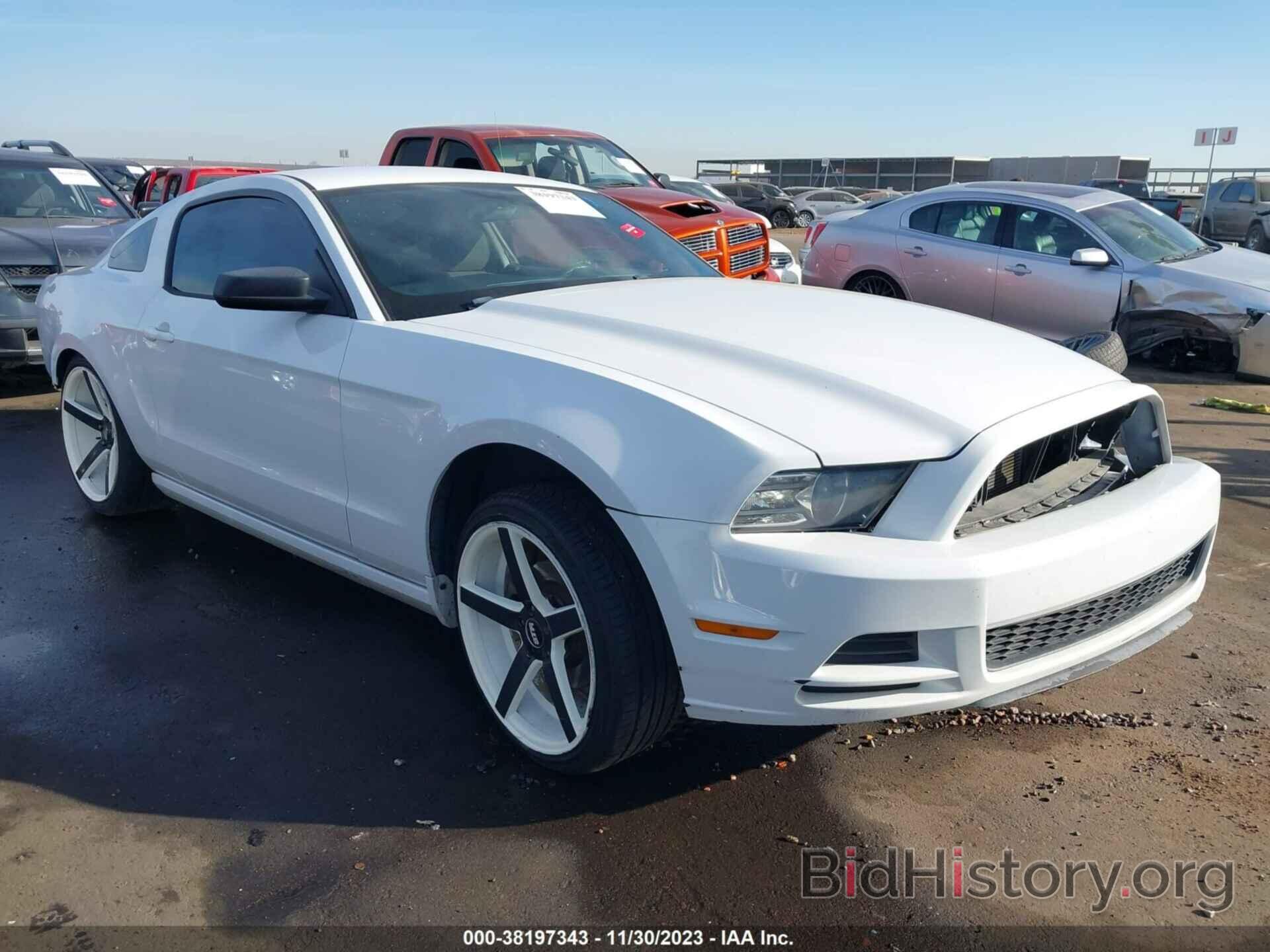 Photo 1ZVBP8AM2E5241389 - FORD MUSTANG 2014