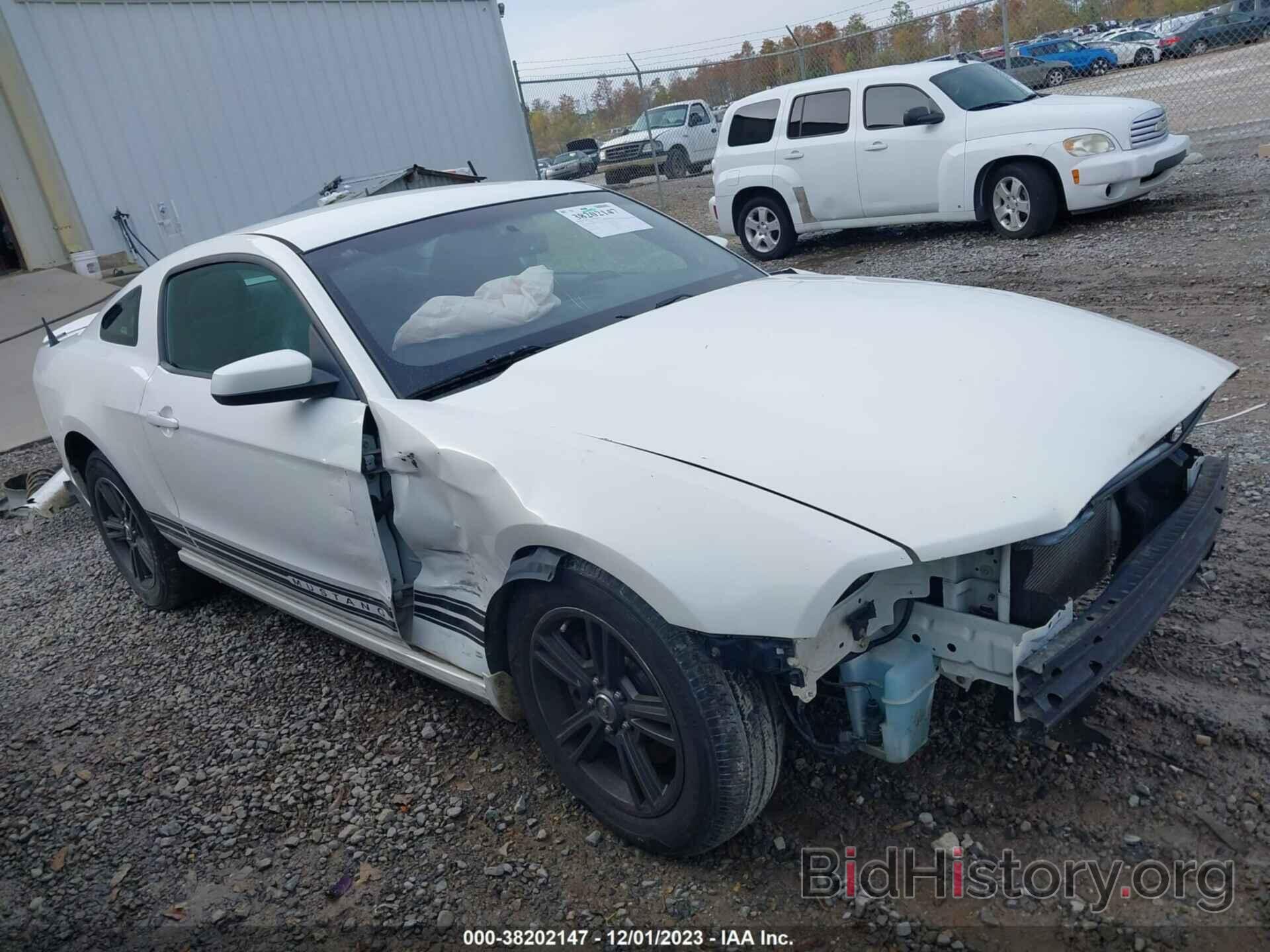 Photo 1ZVBP8AM9D5224880 - FORD MUSTANG 2013