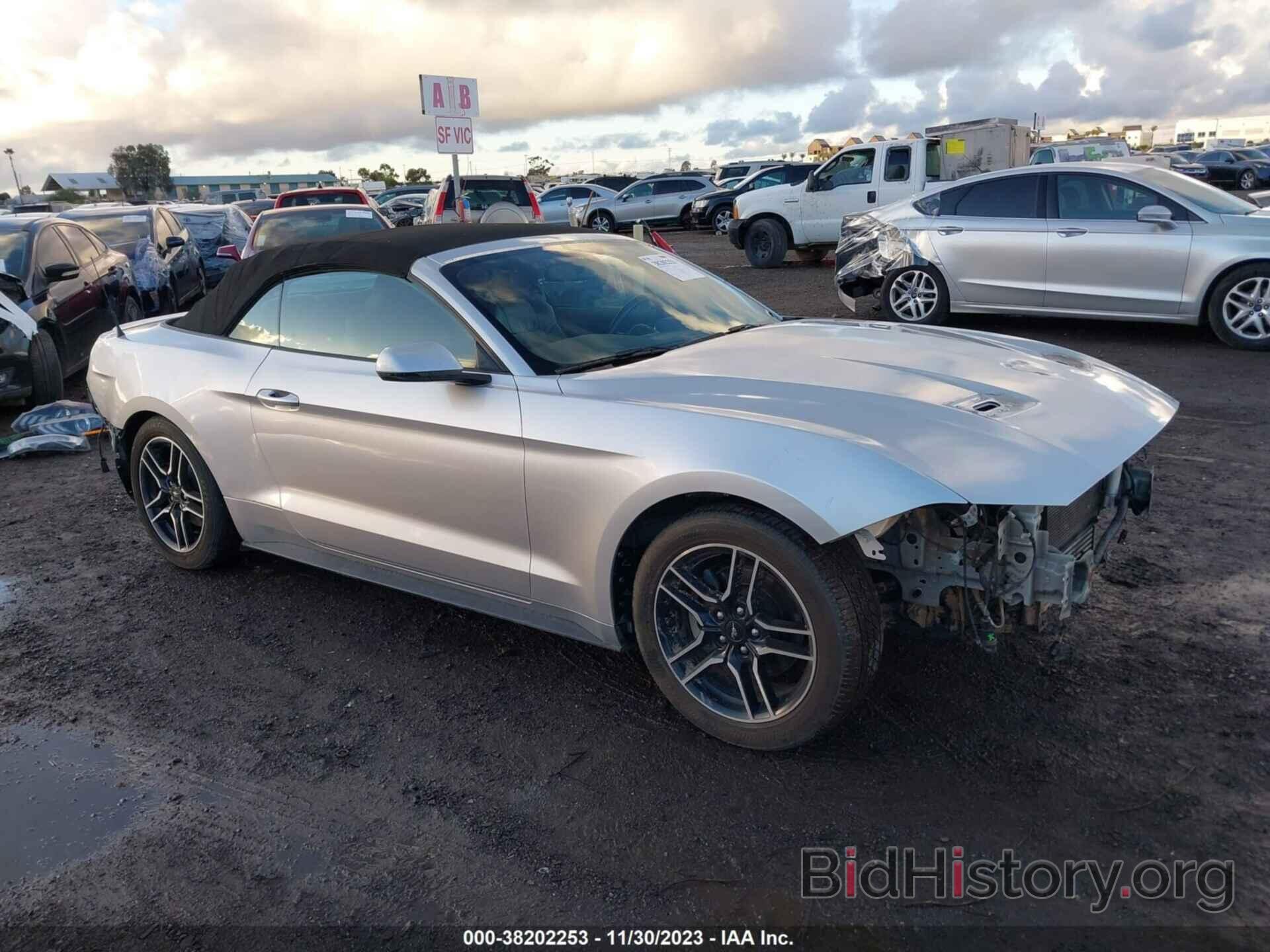 Photo 1FATP8UH4K5131418 - FORD MUSTANG 2019