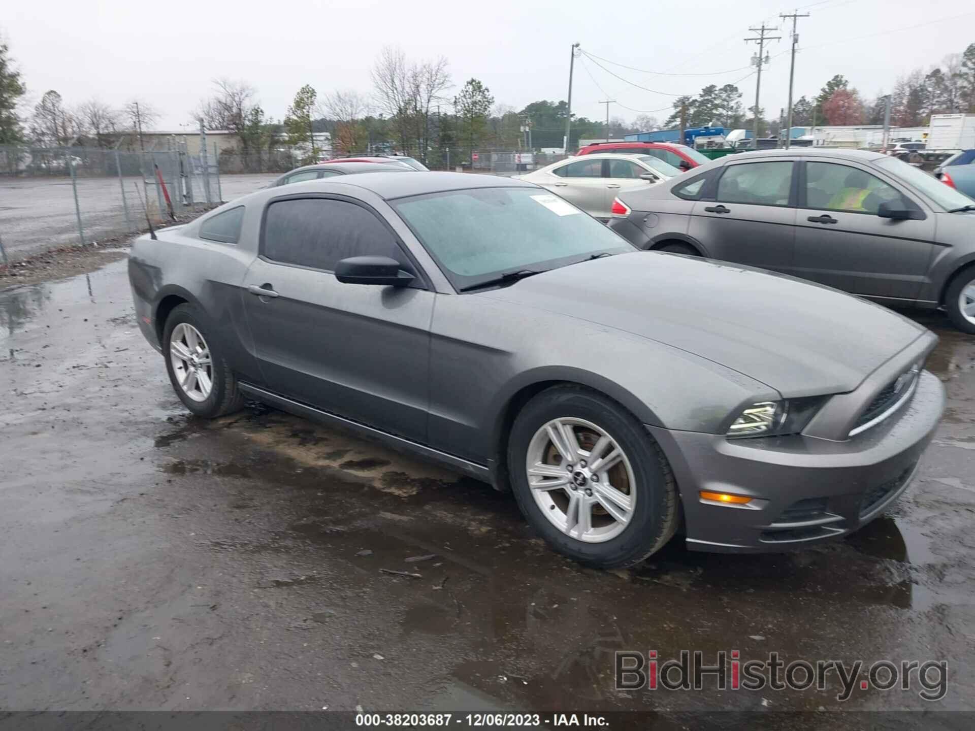 Photo 1ZVBP8AM6E5273147 - FORD MUSTANG 2014