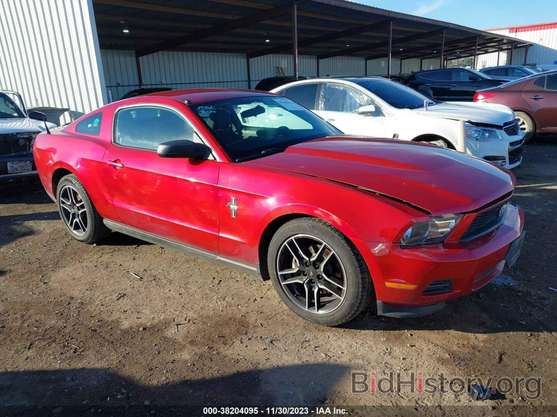 Photo 1ZVBP8AM7C5251817 - FORD MUSTANG 2012