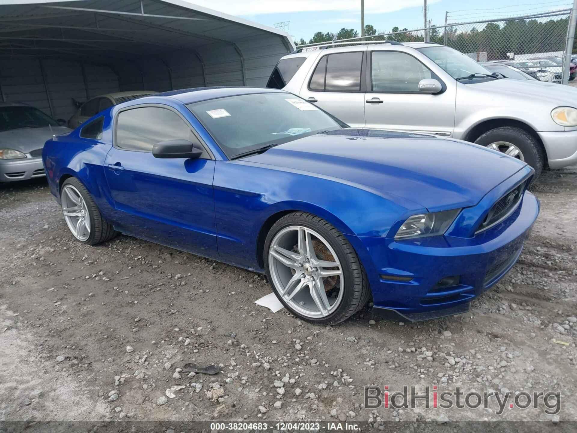 Photo 1ZVBP8AM1E5216712 - FORD MUSTANG 2014