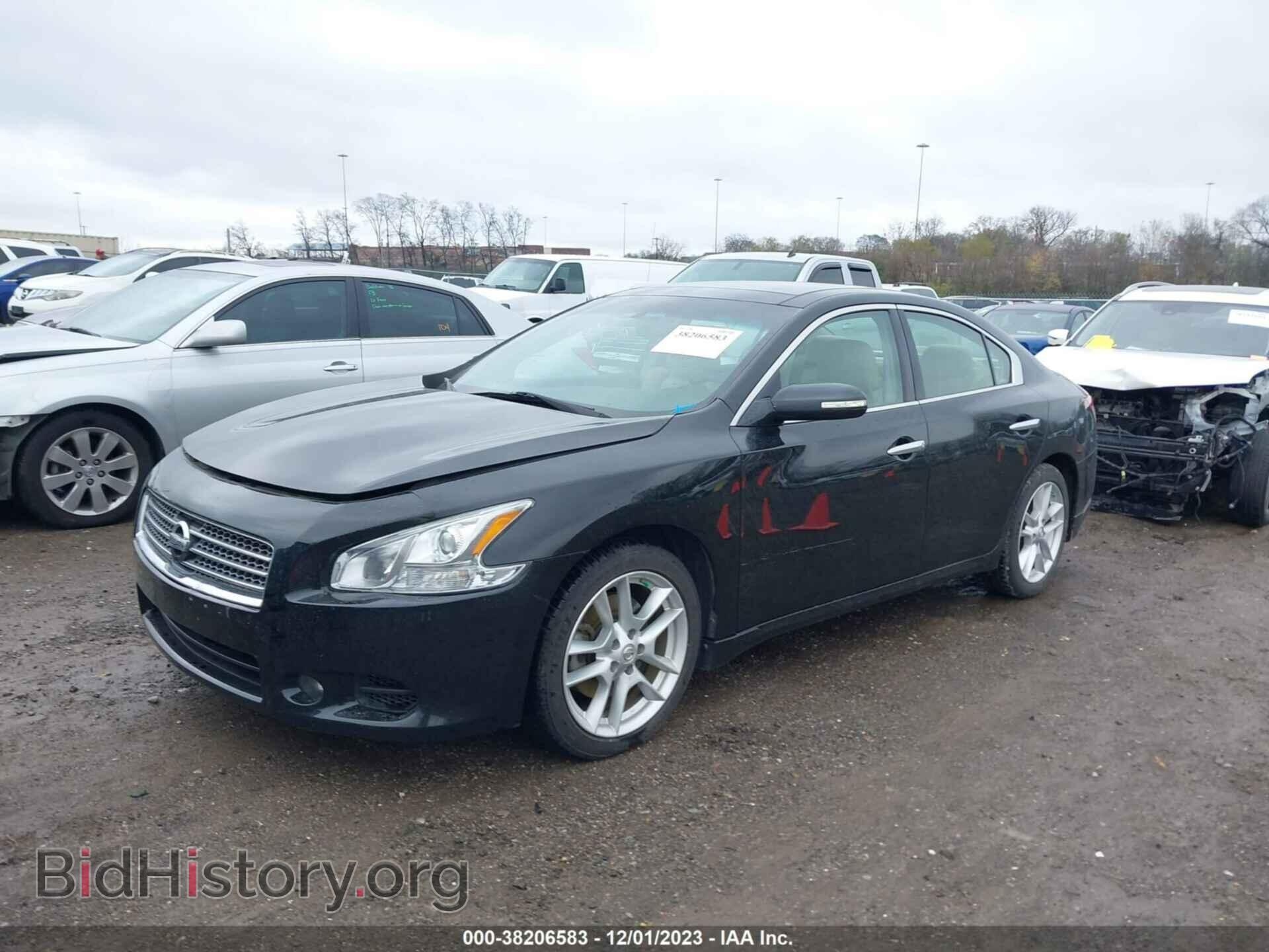 2009 NISSAN MAXIMA - VIN: 1N4AA51E09C826874 - Фото 2
