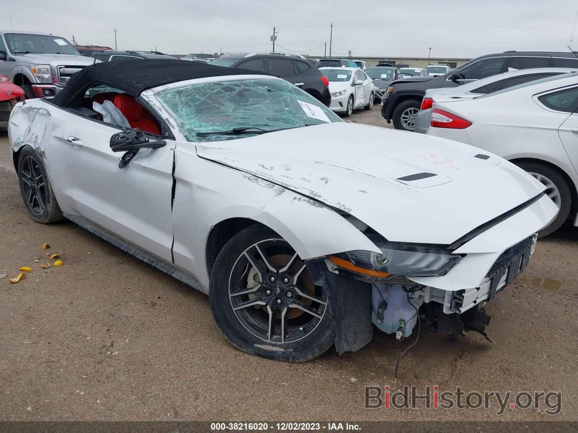 Photo 1FATP8UH0K5148989 - FORD MUSTANG 2019