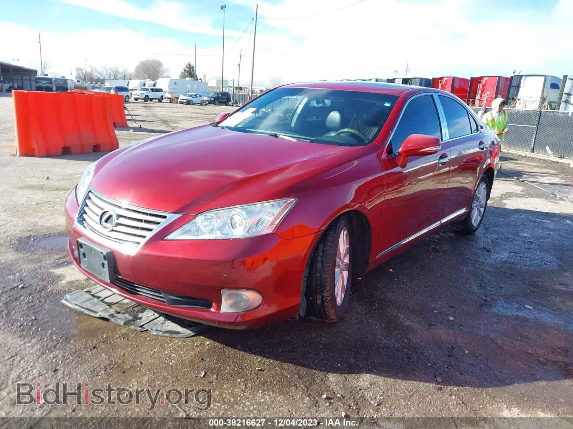 2010 LEXUS ES 350 - VIN: JTHBK1EG2A2412598 - Фото 2