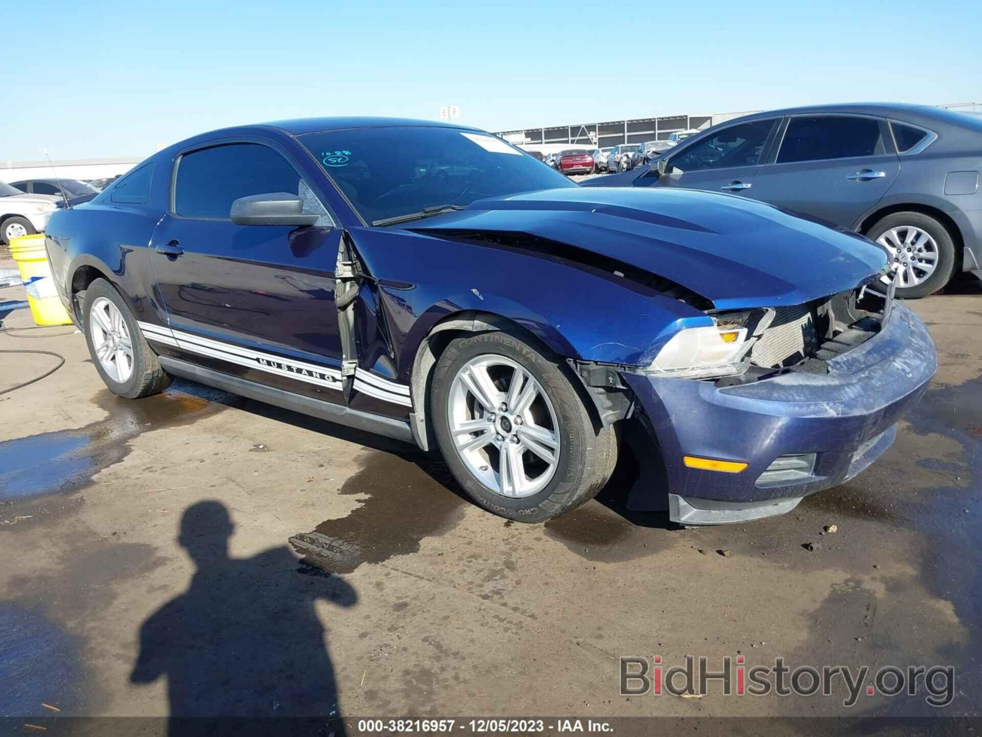 Photo 1ZVBP8AN0A5130925 - FORD MUSTANG 2010