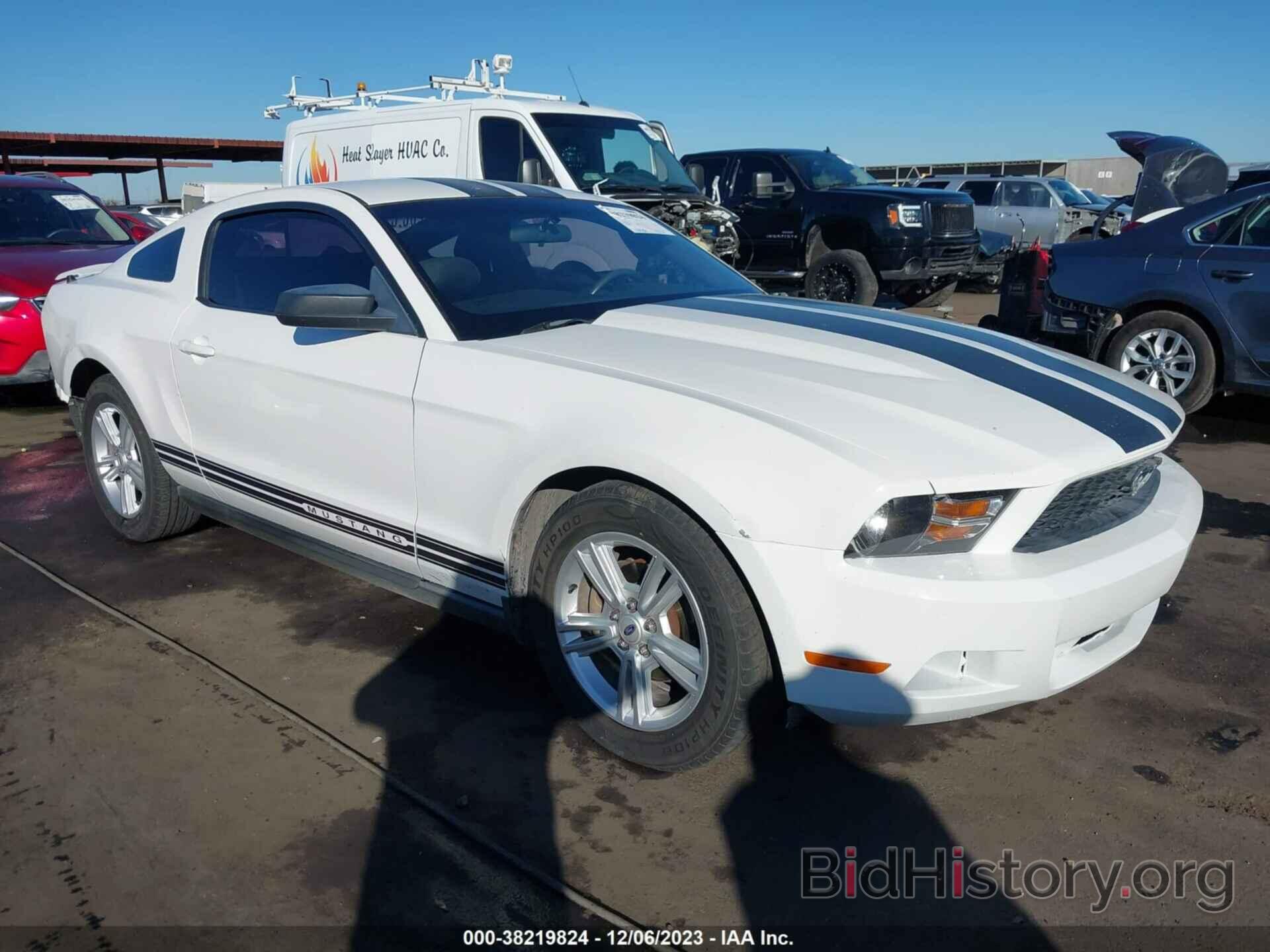 Photo 1ZVBP8AN7A5148029 - FORD MUSTANG 2010