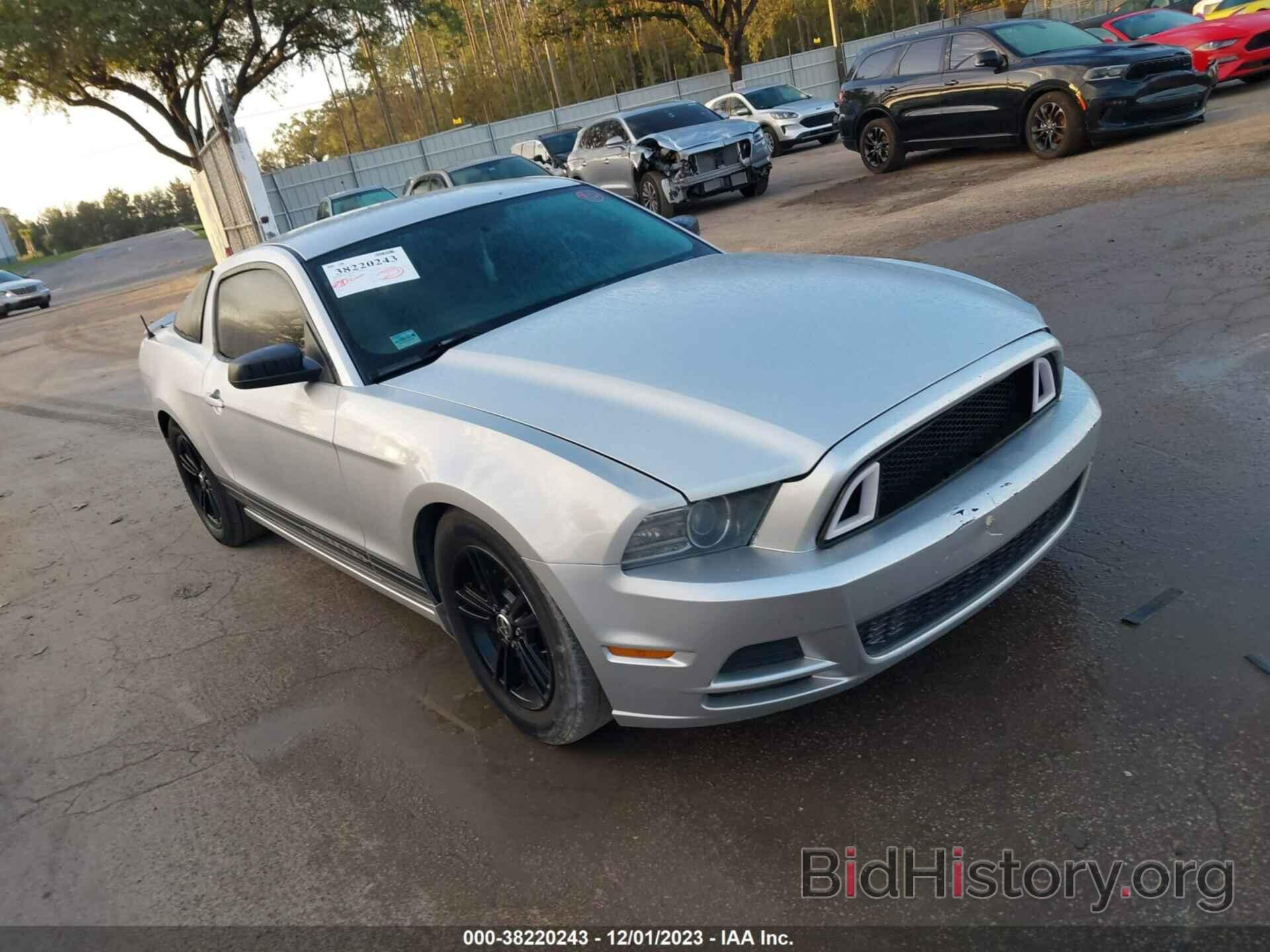 Photo 1ZVBP8AM7D5246005 - FORD MUSTANG 2013