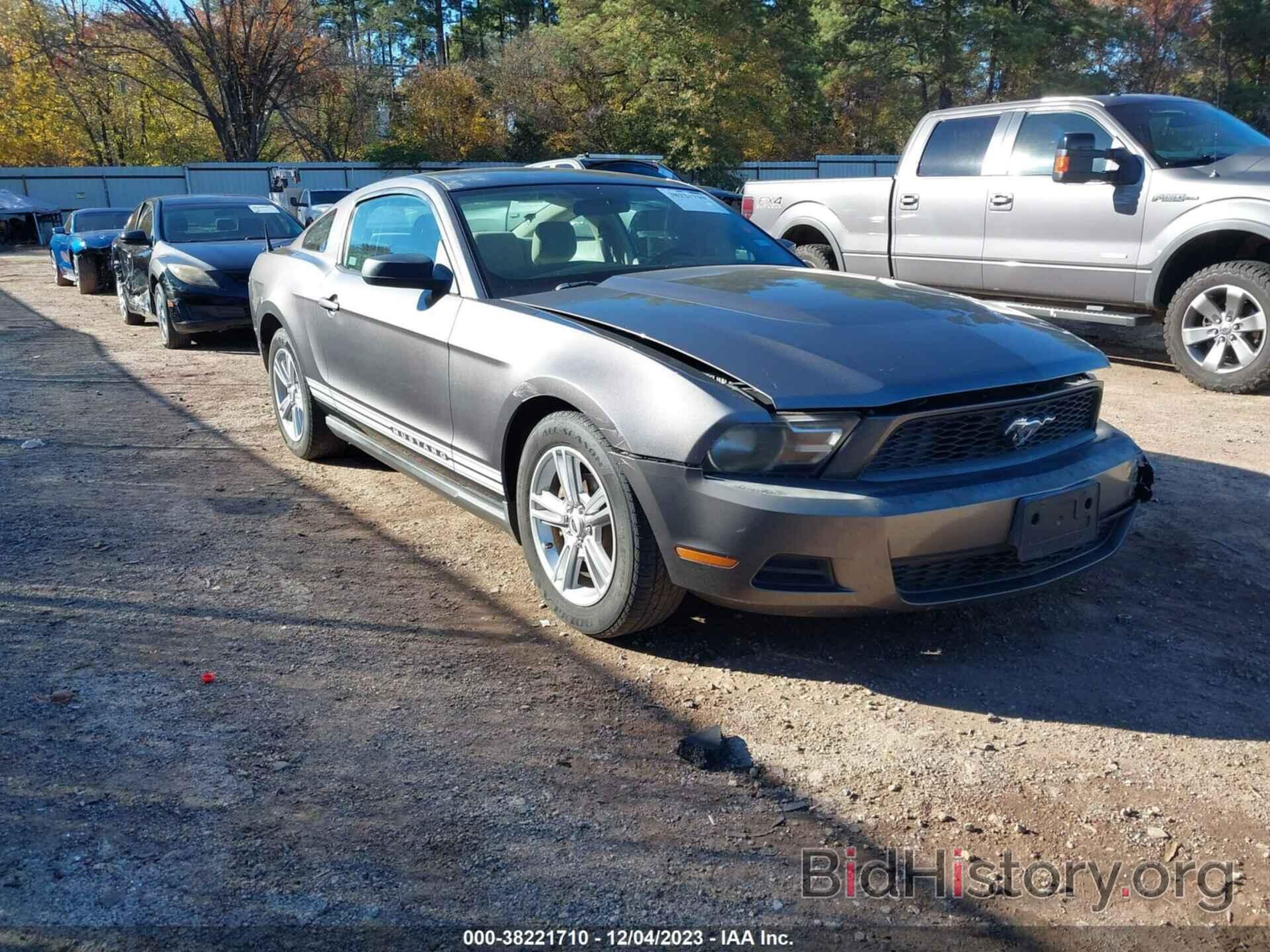 Photo 1ZVBP8AN7A5125530 - FORD MUSTANG 2010