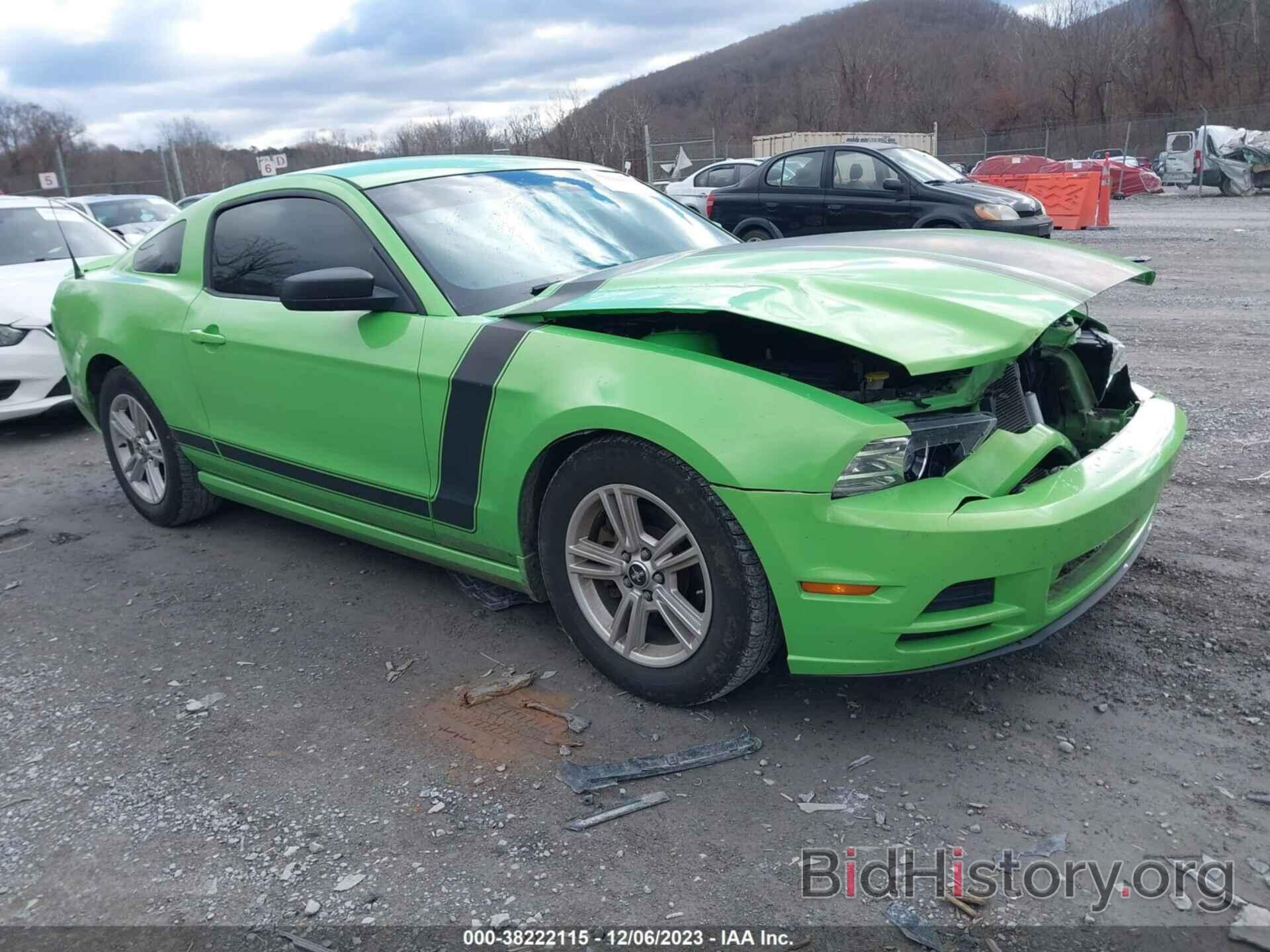 Photo 1ZVBP8AM8E5218036 - FORD MUSTANG 2014