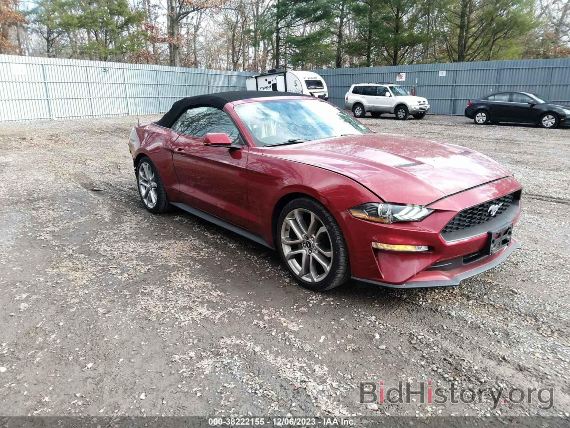 Photo 1FATP8UH4K5184233 - FORD MUSTANG 2019
