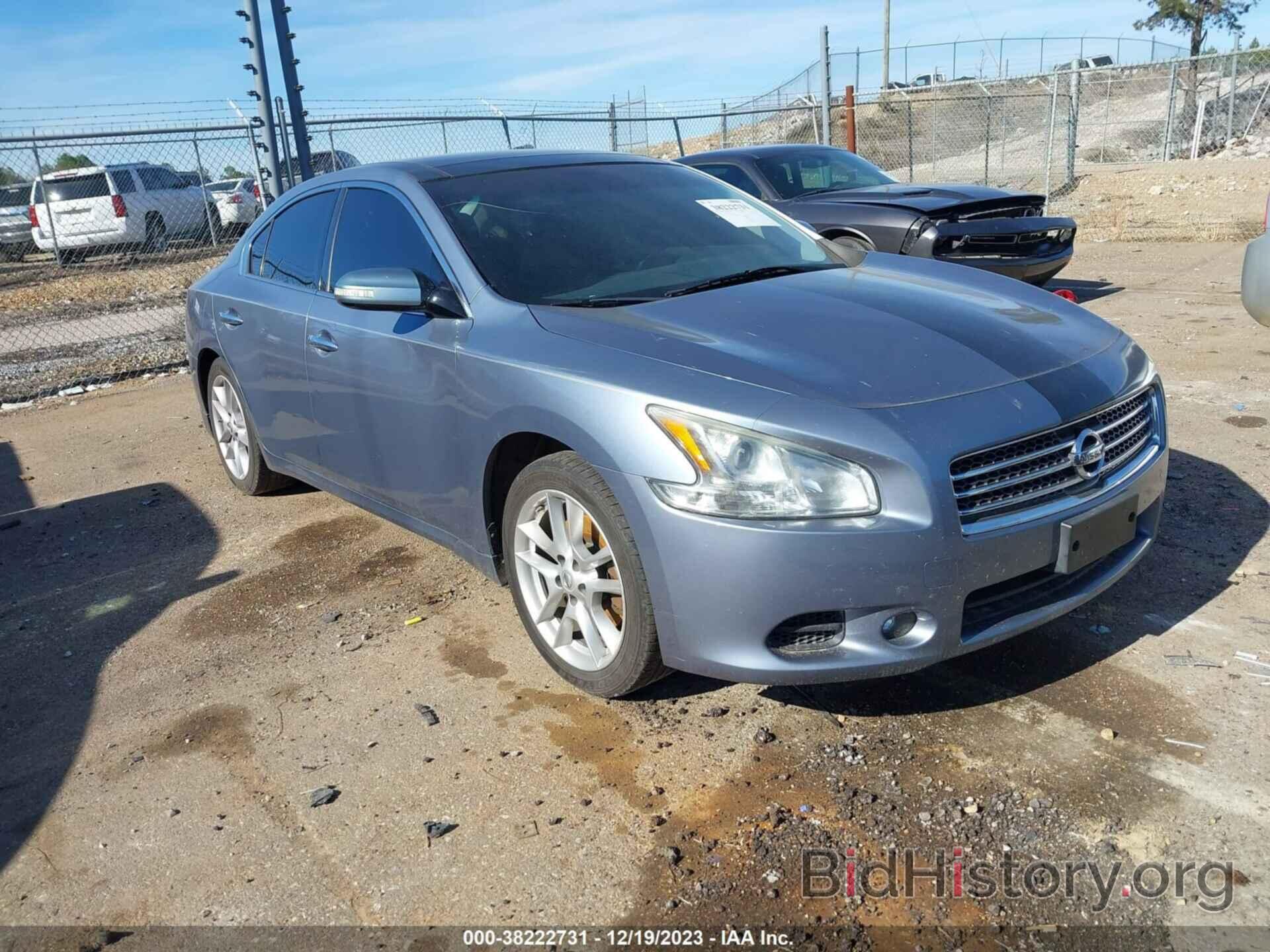 Photo 1N4AA5AP5BC860445 - NISSAN MAXIMA 2011