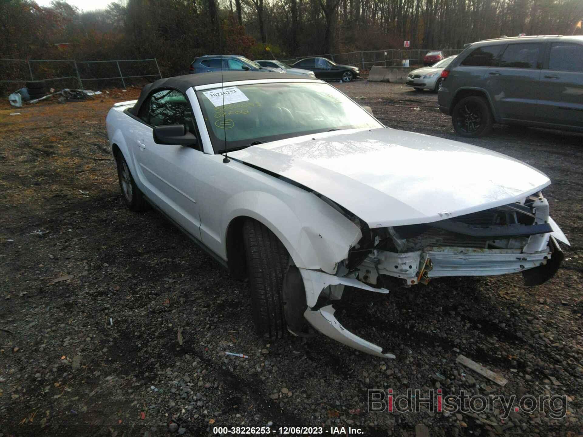 Photo 1ZVHT84N385206939 - FORD MUSTANG 2008