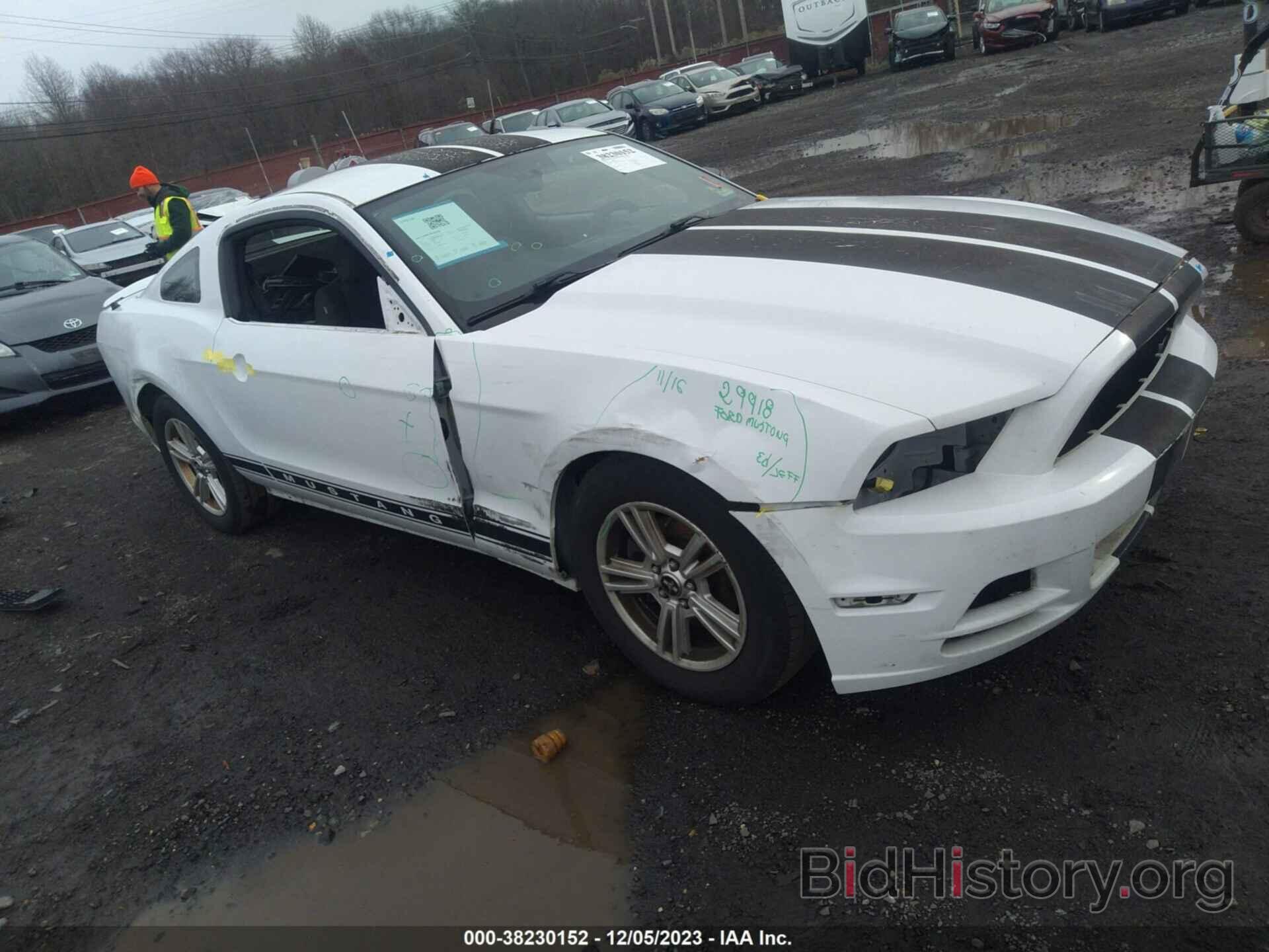 Photo 1ZVBP8AM4E5263846 - FORD MUSTANG 2014