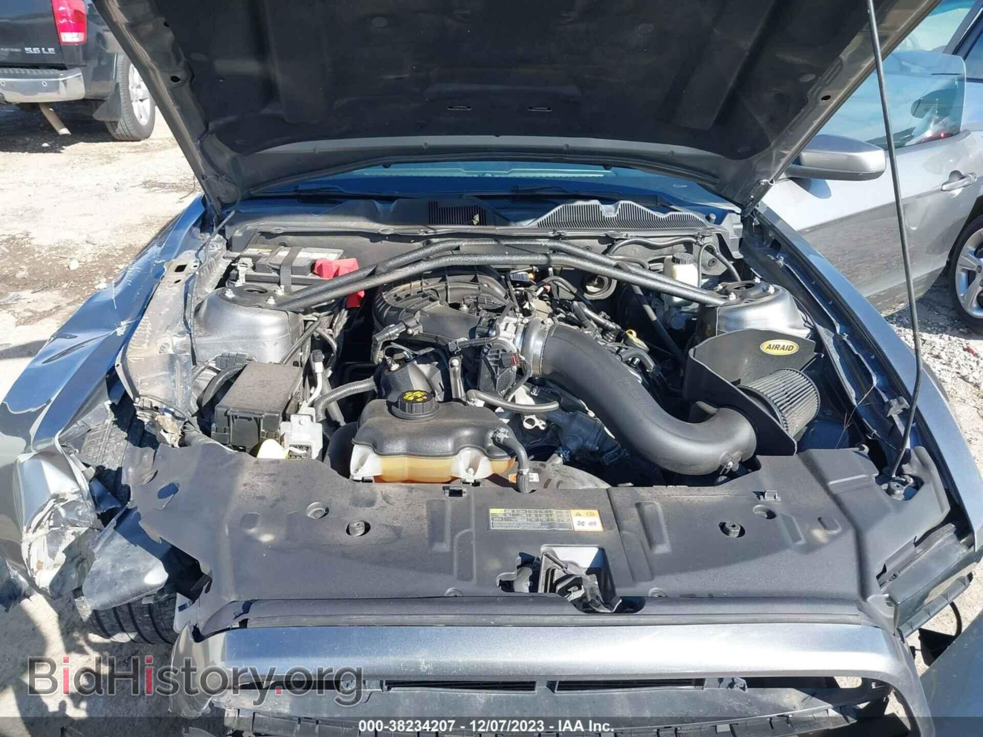 2013 FORD MUSTANG - VIN: 1ZVBP8AM1D5227515 - Фото 10