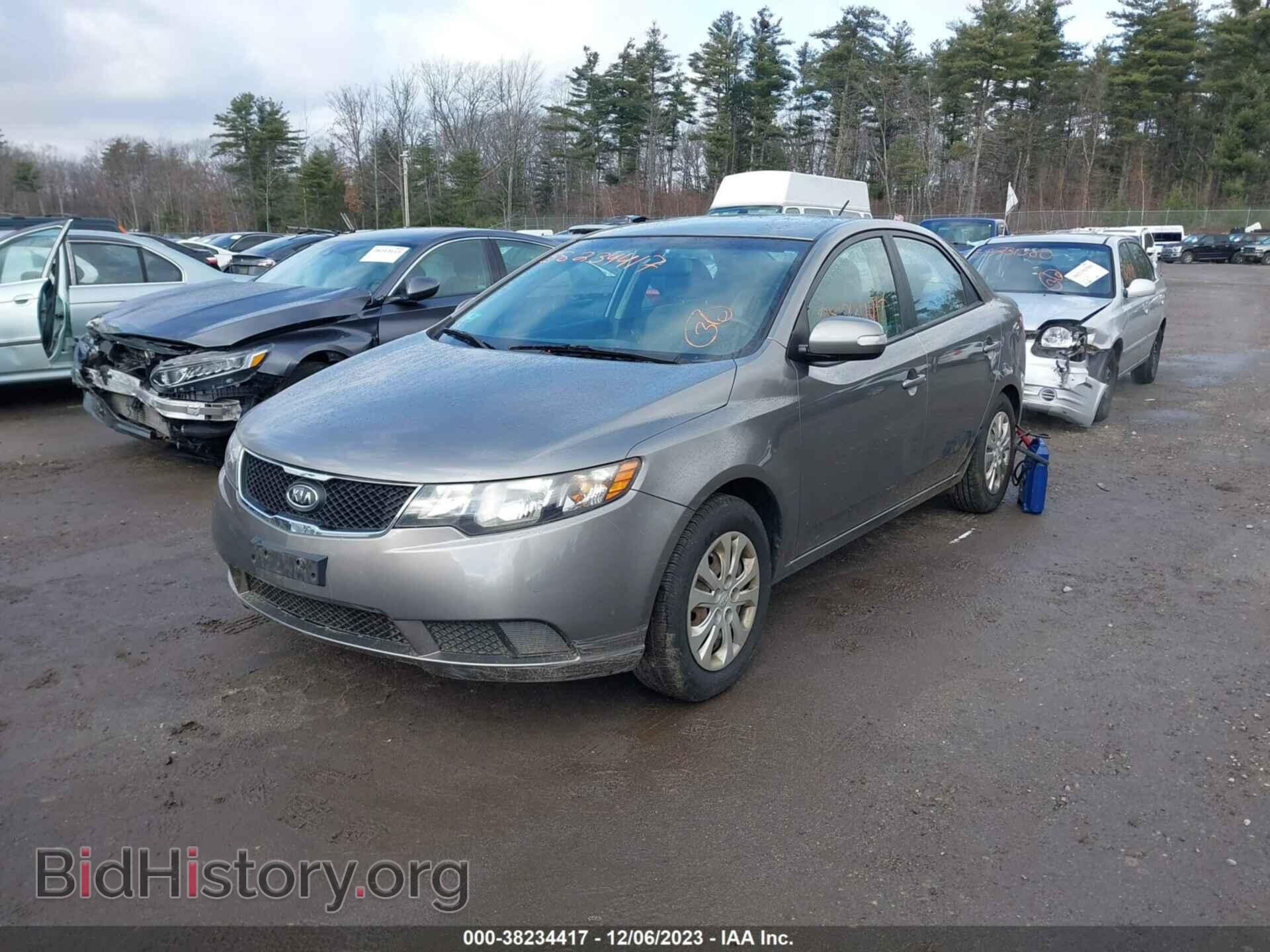 2010 KIA FORTE - VIN: KNAFU4A25A5310071 - Фото 2