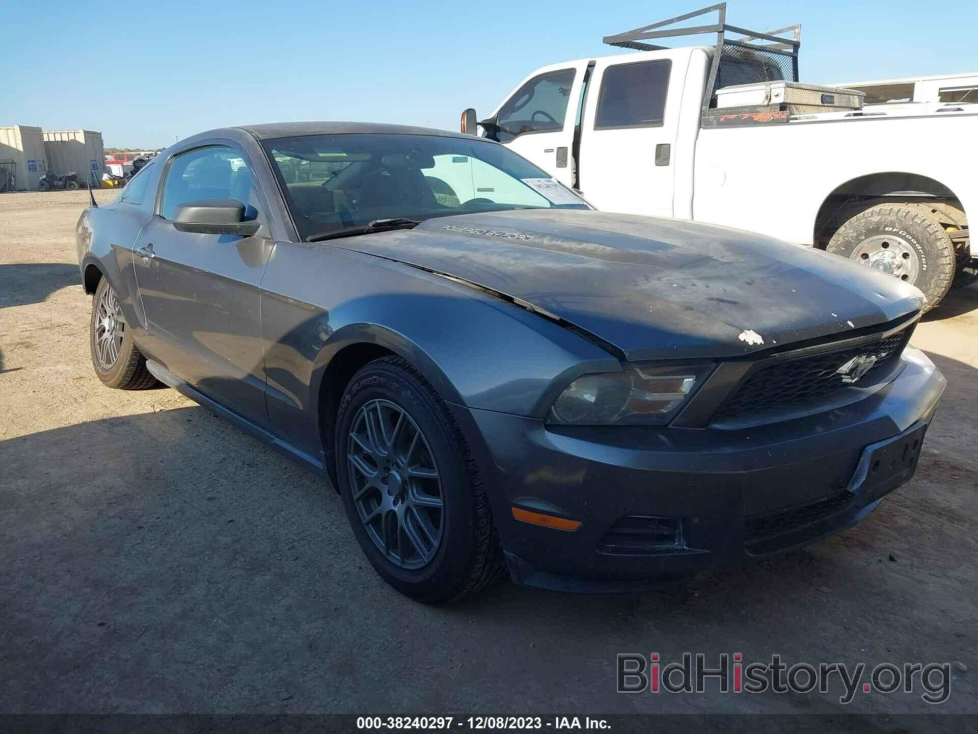 Photo 1ZVBP8AN0A5172463 - FORD MUSTANG 2010