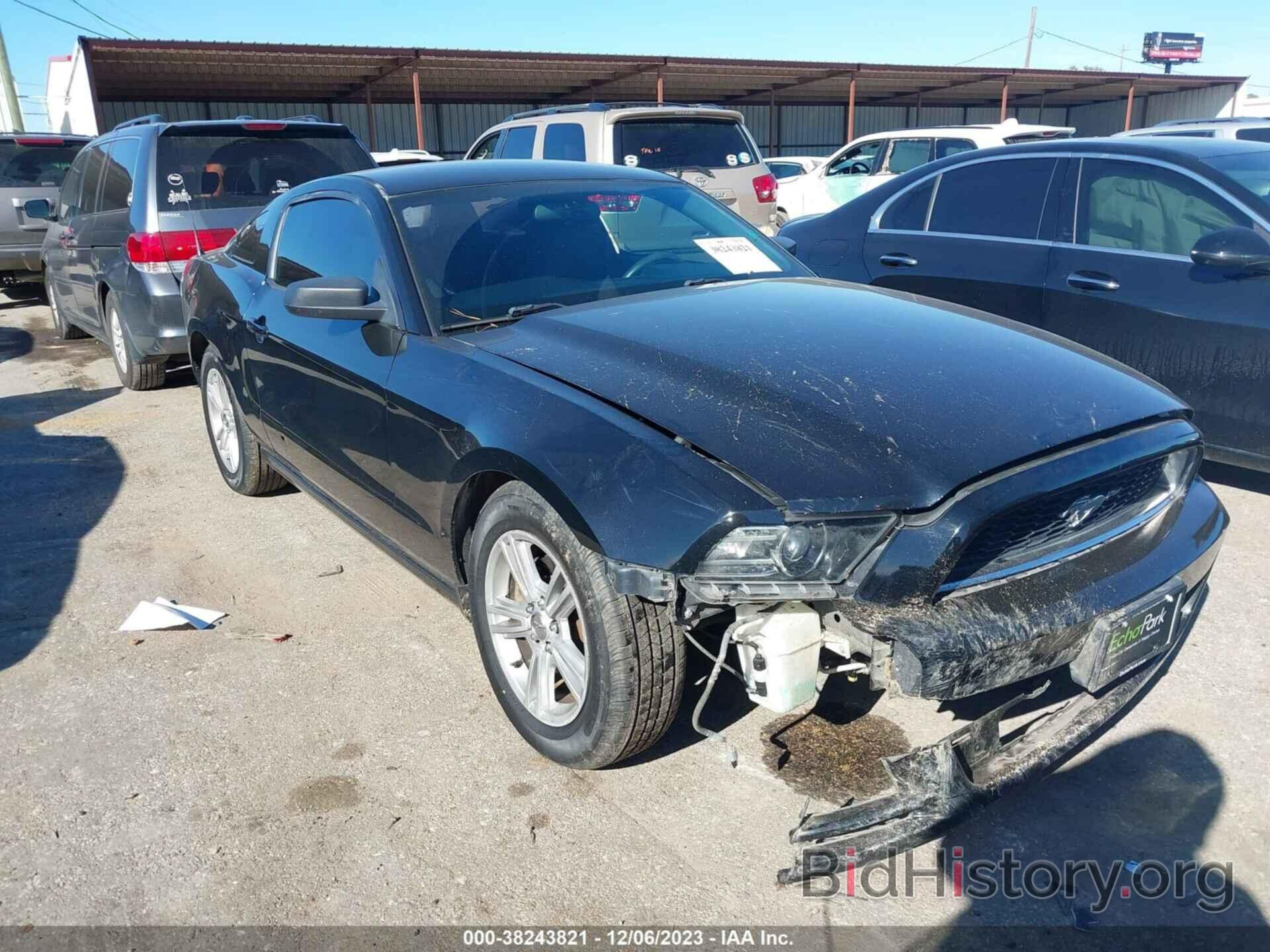 Photo 1ZVBP8AM7E5309542 - FORD MUSTANG 2014