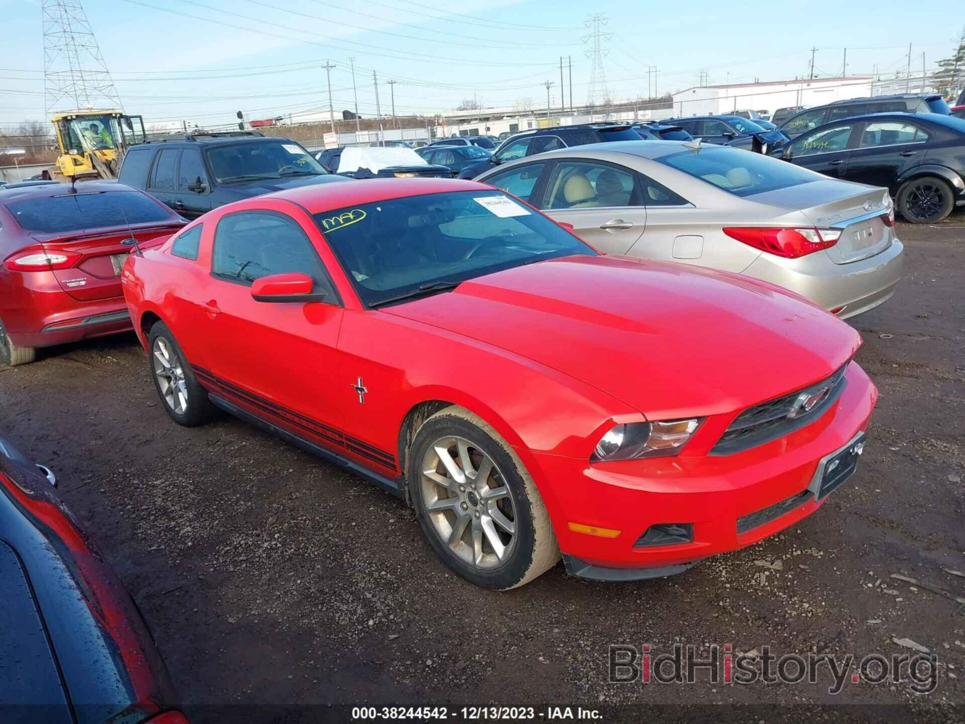 Photo 1ZVBP8AN5A5155514 - FORD MUSTANG 2010