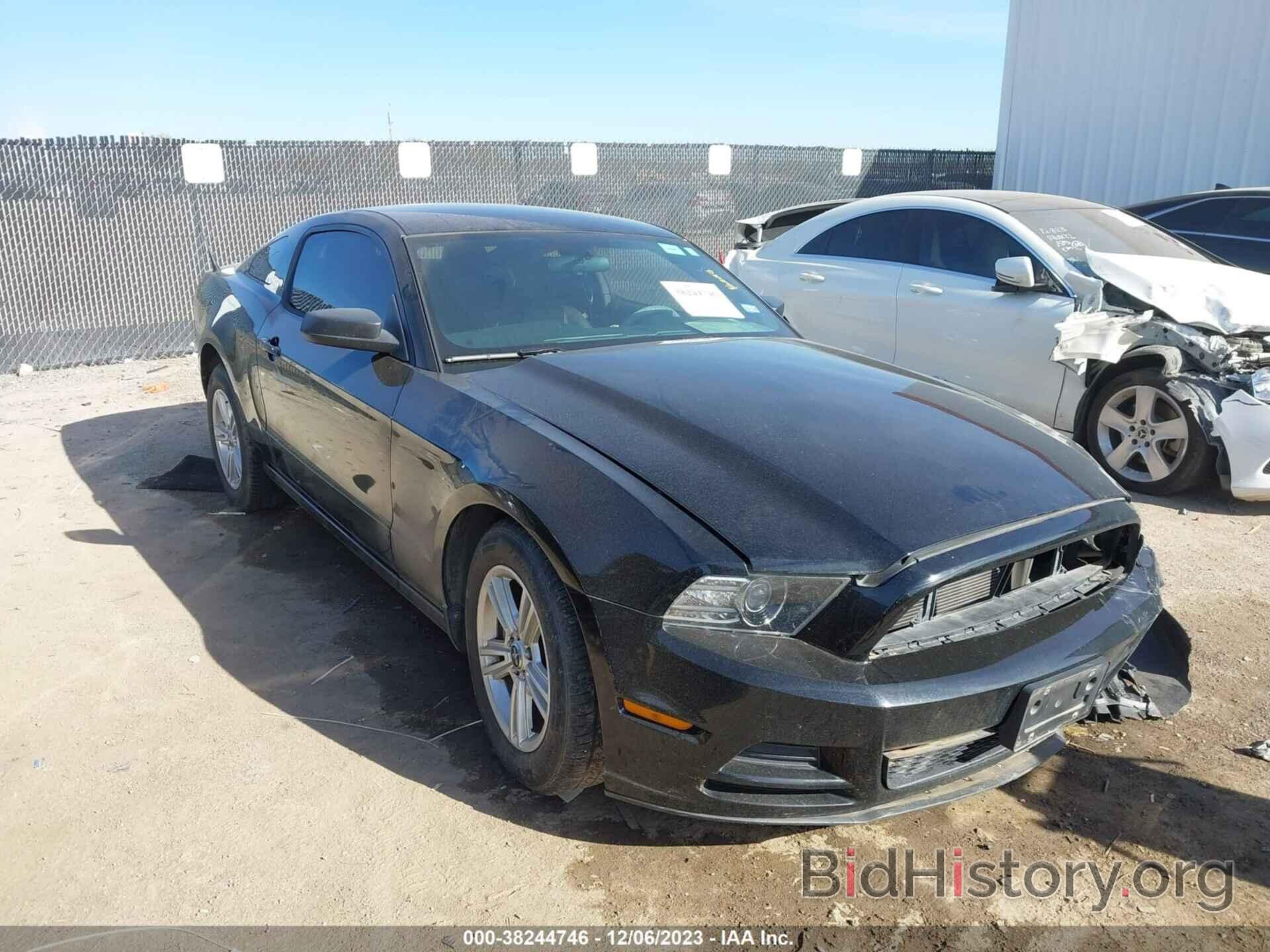 Photo 1ZVBP8AM4E5313354 - FORD MUSTANG 2014