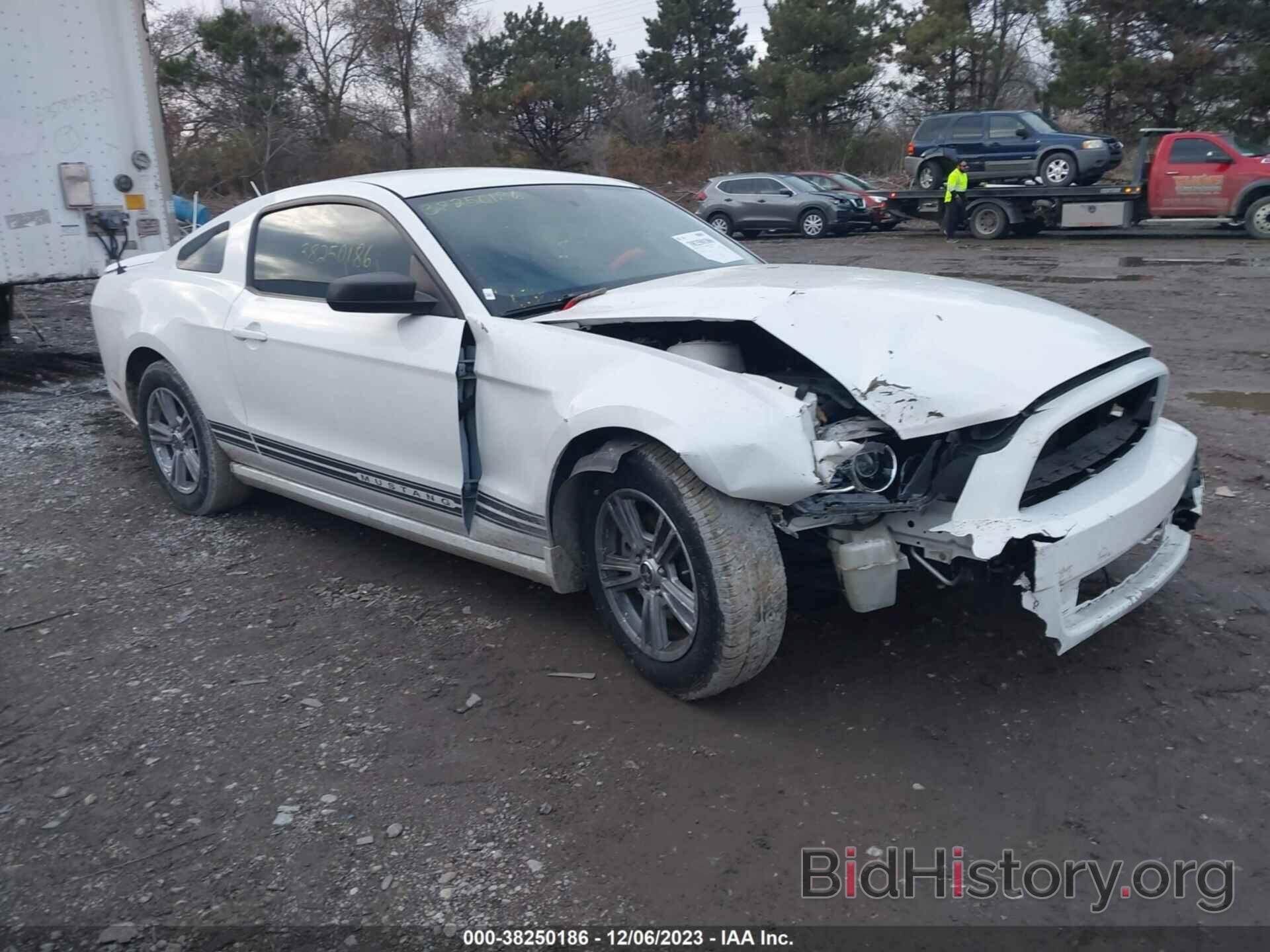 Photo 1ZVBP8AMXD5215508 - FORD MUSTANG 2013