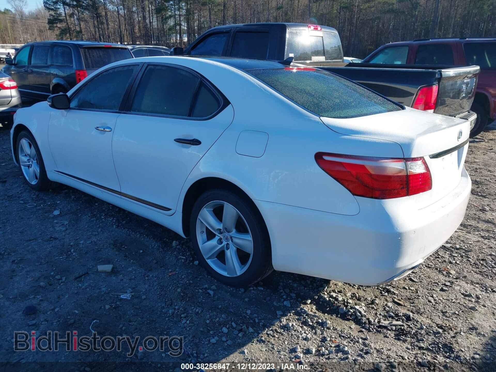 2010 LEXUS LS 460 - VIN: JTHBL5EF7A5094701 - Фото 3