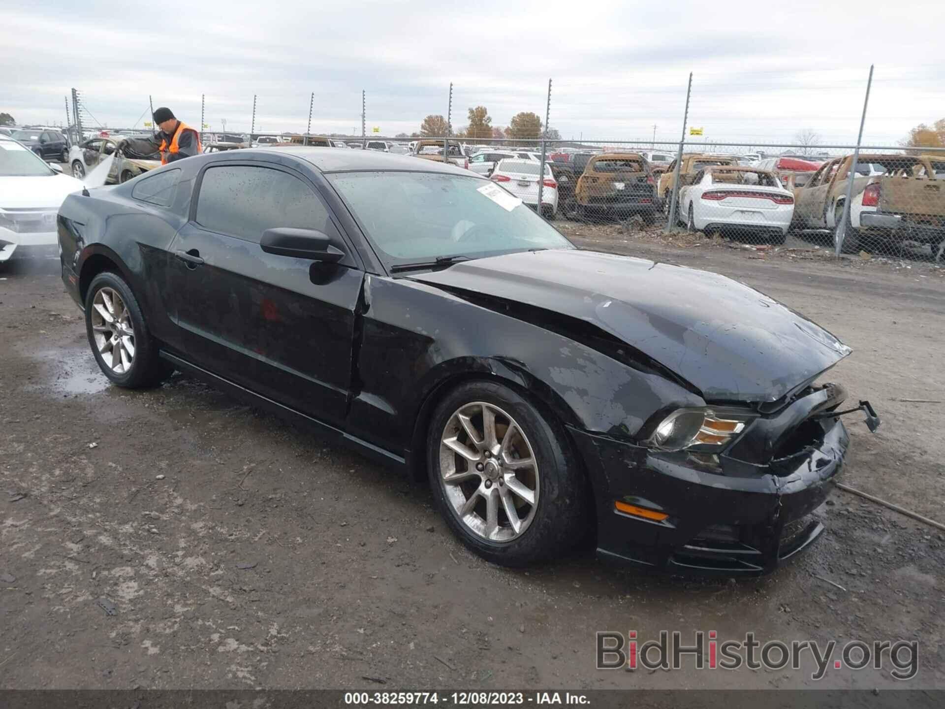 Photo 1ZVBP8AM9E5261865 - FORD MUSTANG 2014