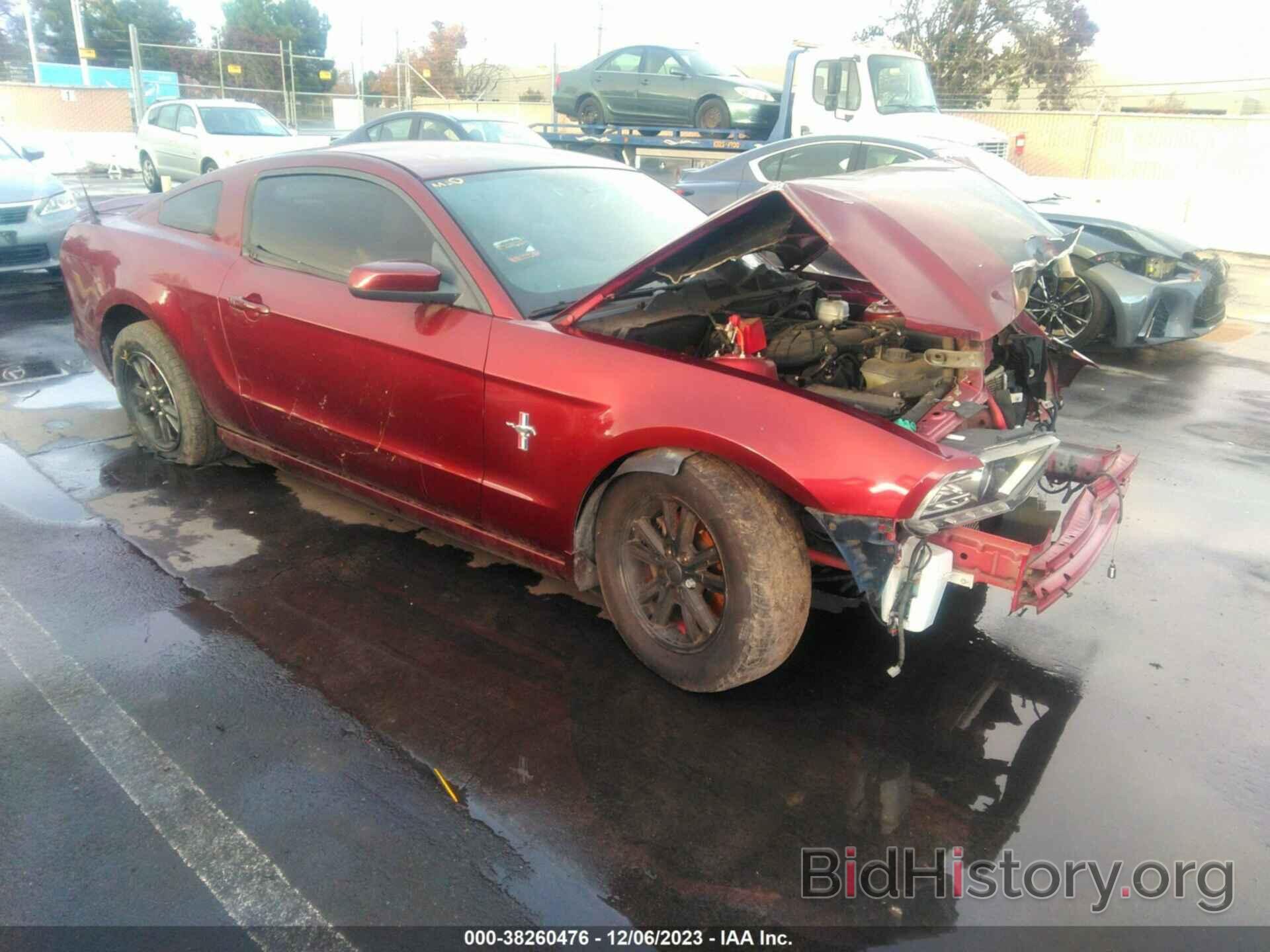 Photo 1ZVBP8AM5E5273043 - FORD MUSTANG 2014