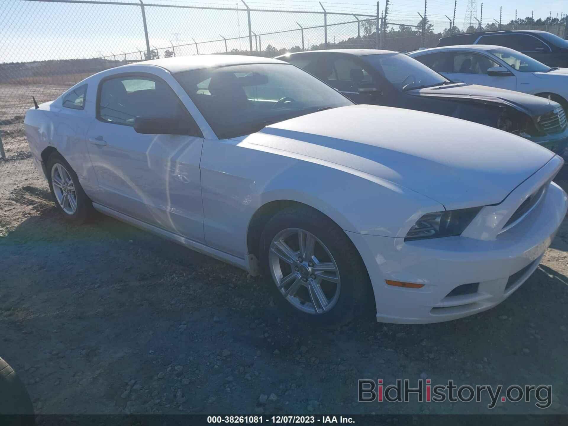 Photo 1ZVBP8AM5E5218608 - FORD MUSTANG 2014