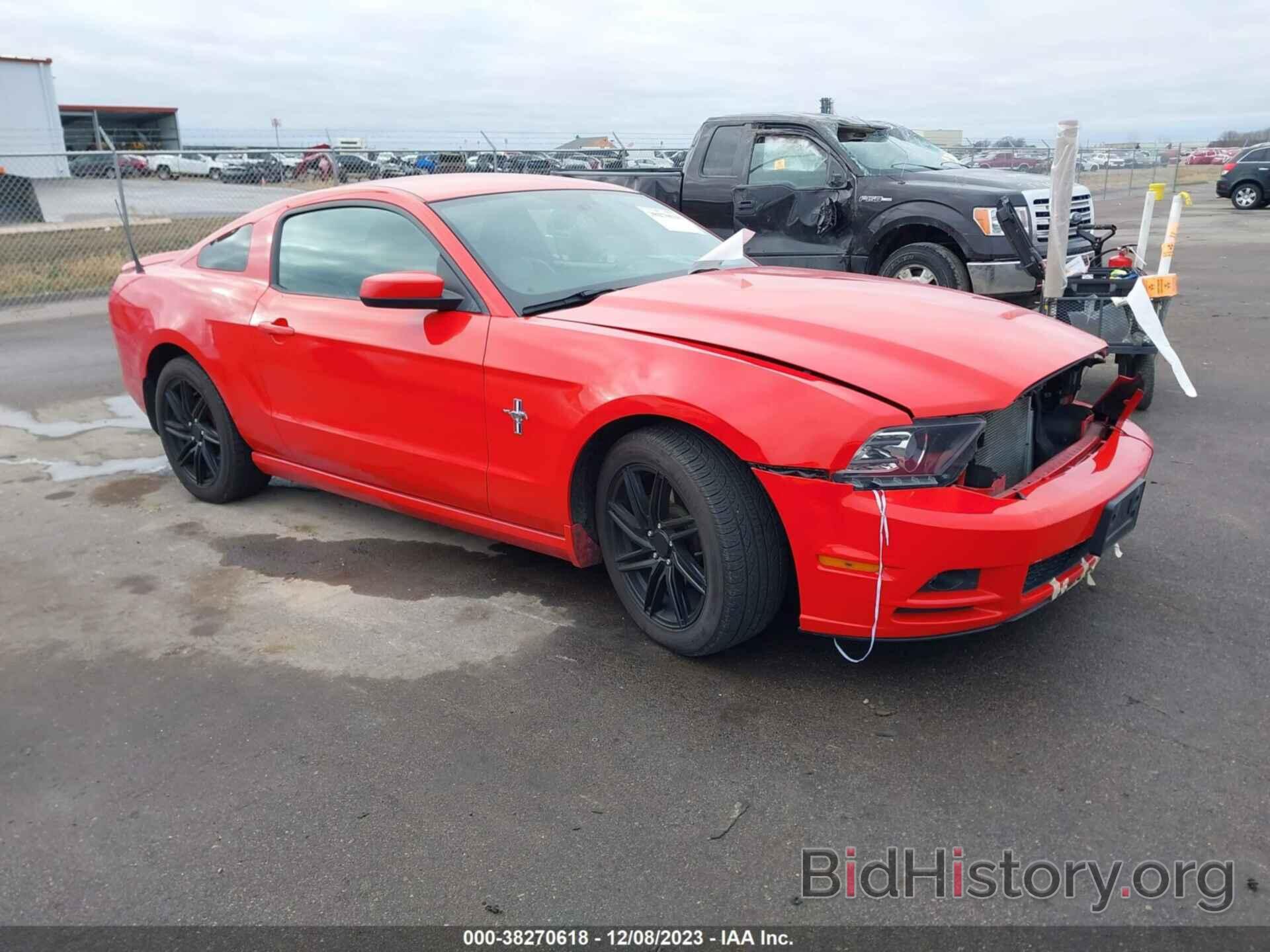 Photo 1ZVBP8AM1E5203717 - FORD MUSTANG 2014