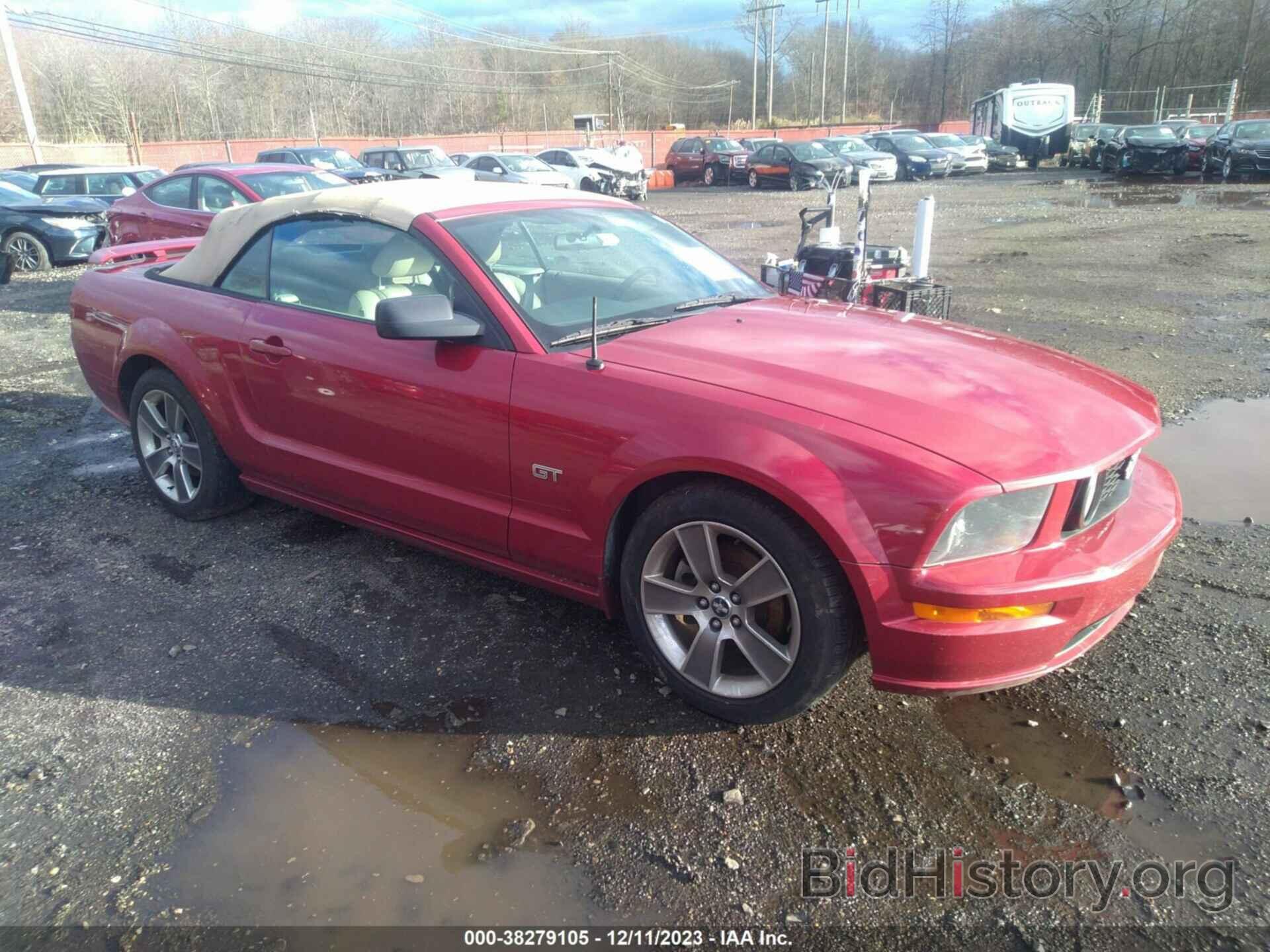 Photo 1ZVHT85H885139134 - FORD MUSTANG 2008