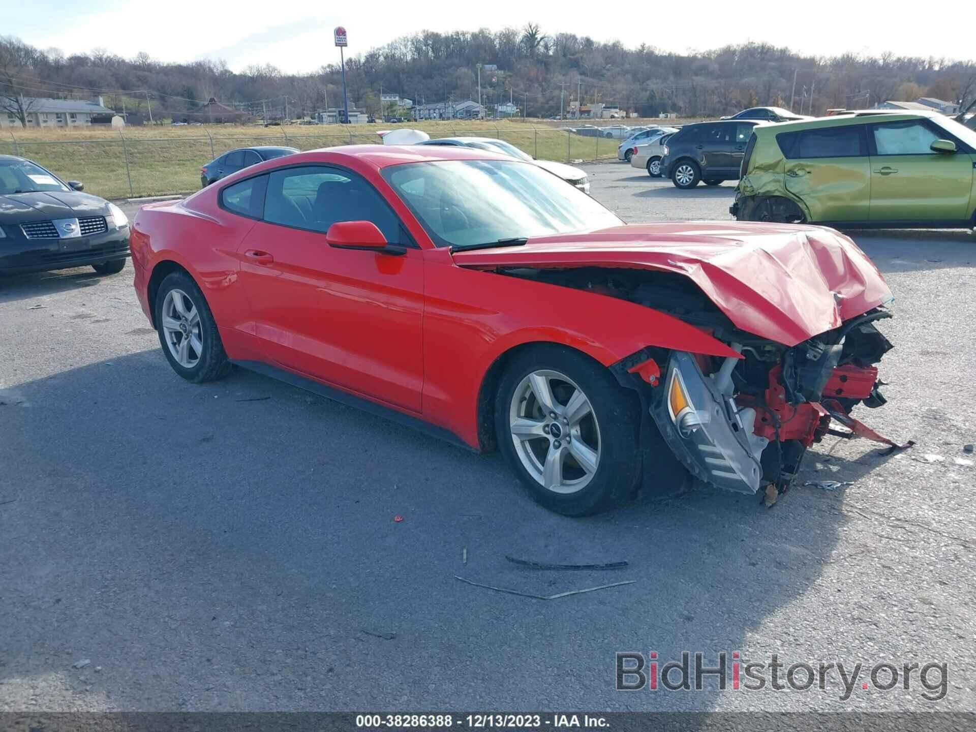 Photo 1FA6P8AM5H5344577 - FORD MUSTANG 2017