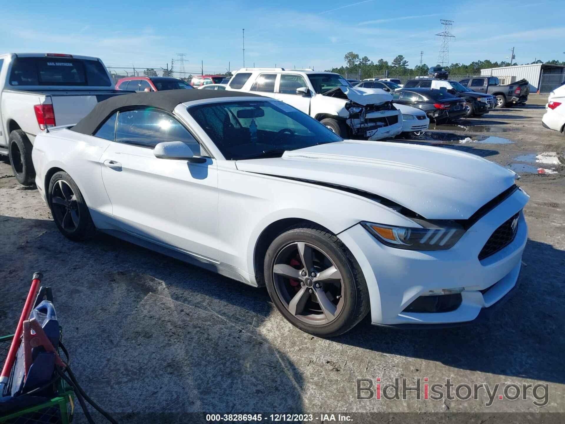 Photo 1FATP8EM4H5236495 - FORD MUSTANG 2017