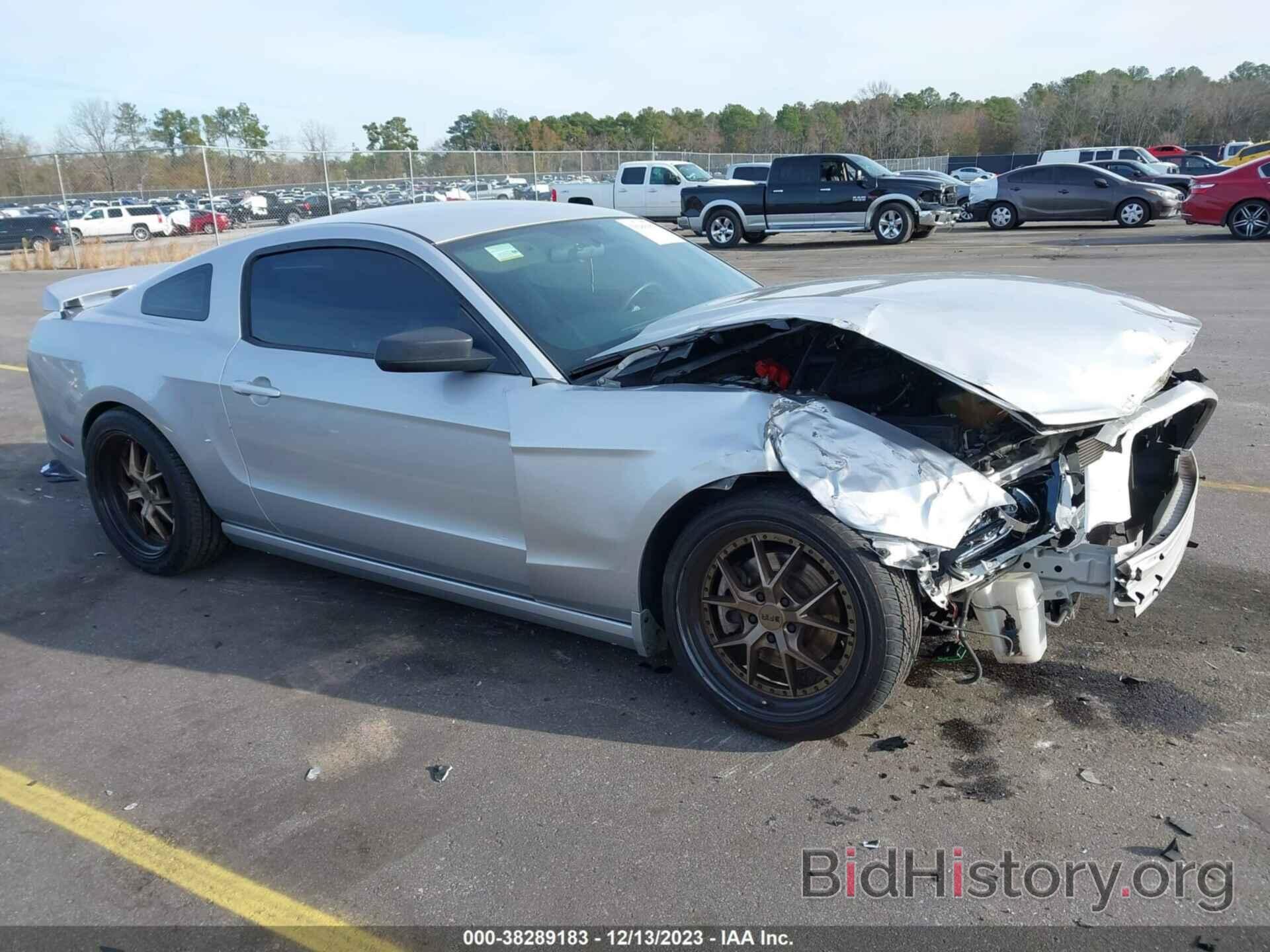 Photo 1ZVBP8AM0D5208695 - FORD MUSTANG 2013