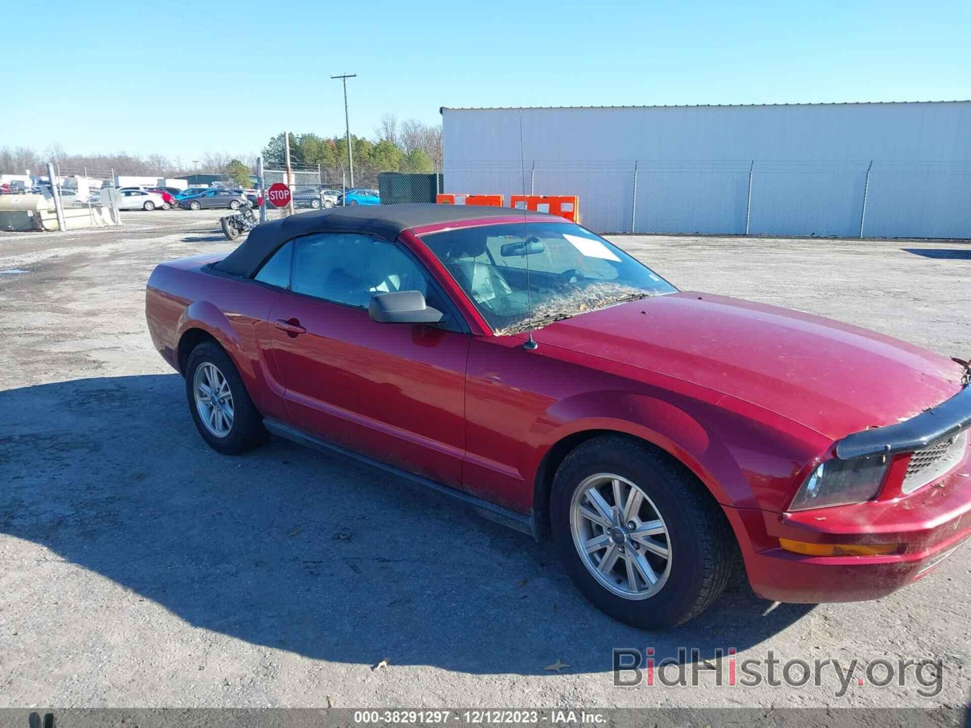 Photo 1ZVFT84N065262986 - FORD MUSTANG 2006
