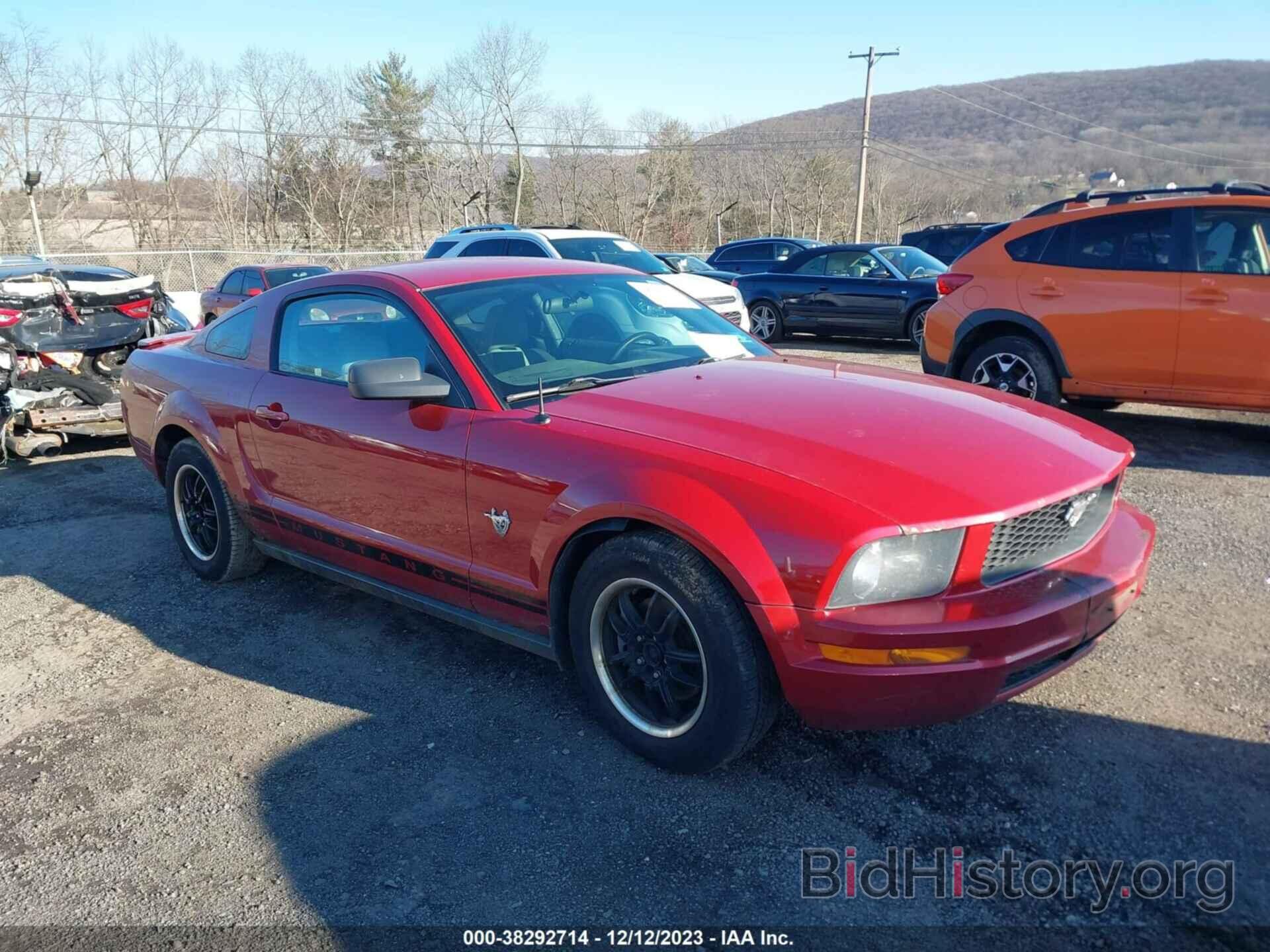 Photo 1ZVHT80N295104409 - FORD MUSTANG 2009