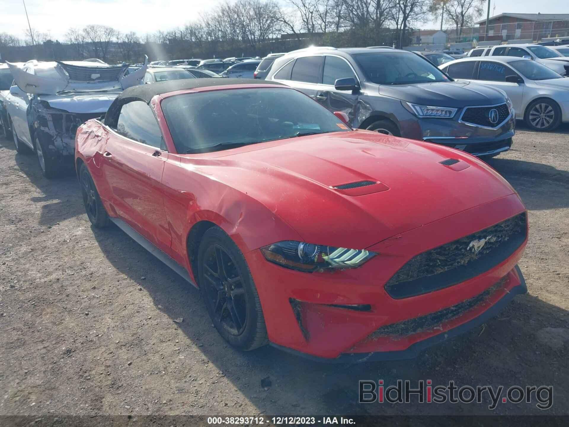 Photo 1FATP8UH0K5138592 - FORD MUSTANG 2019