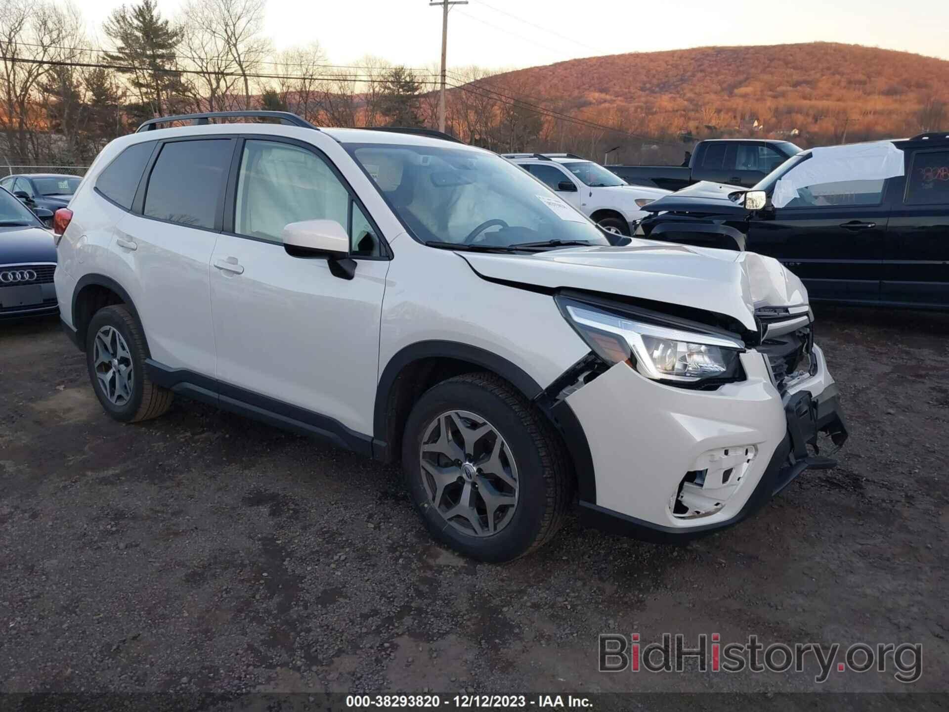 Photo JF2SKAGC3KH504038 - SUBARU FORESTER 2019