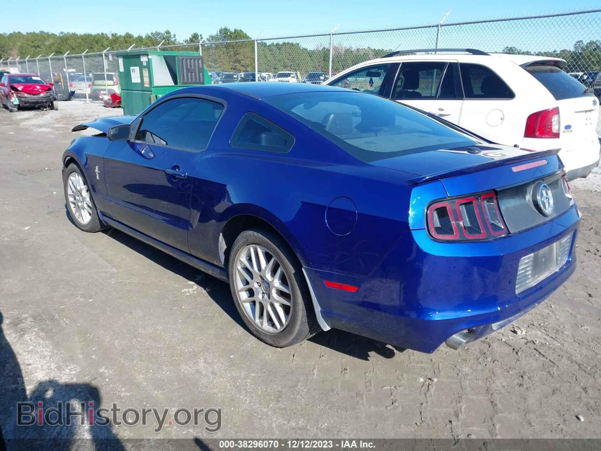 2013 FORD MUSTANG - VIN: 1ZVBP8AM5D5256337 - Фото 3
