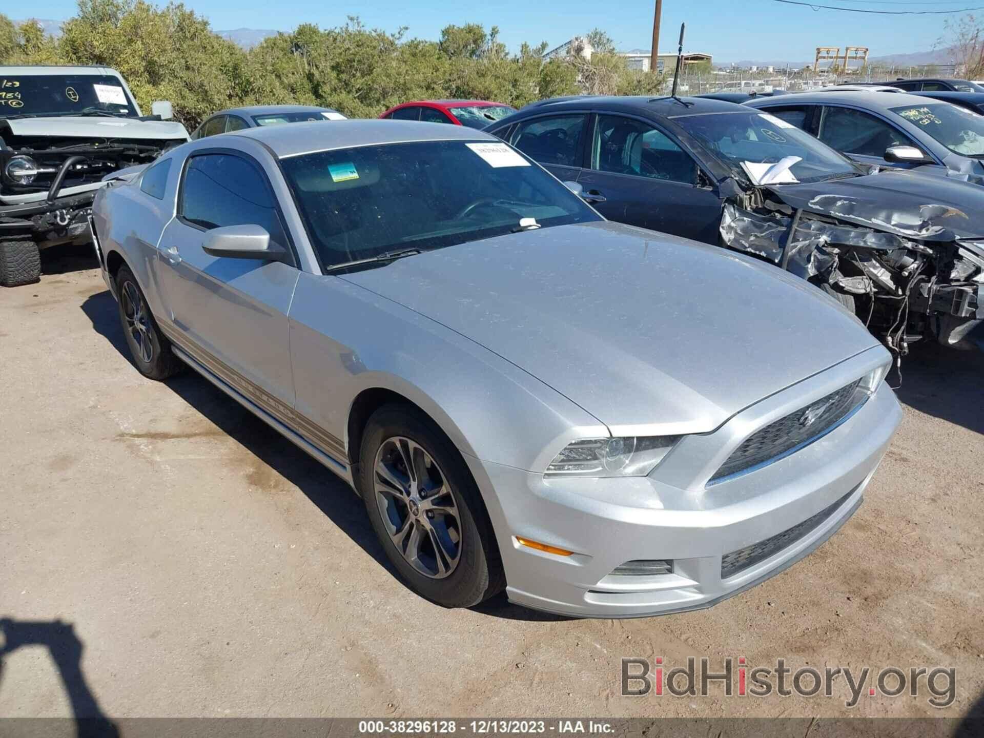 Photo 1ZVBP8AM7D5243847 - FORD MUSTANG 2013