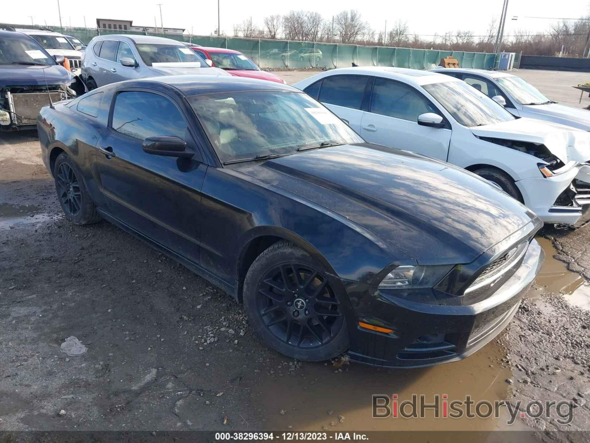 Photo 1ZVBP8AM1E5329432 - FORD MUSTANG 2014