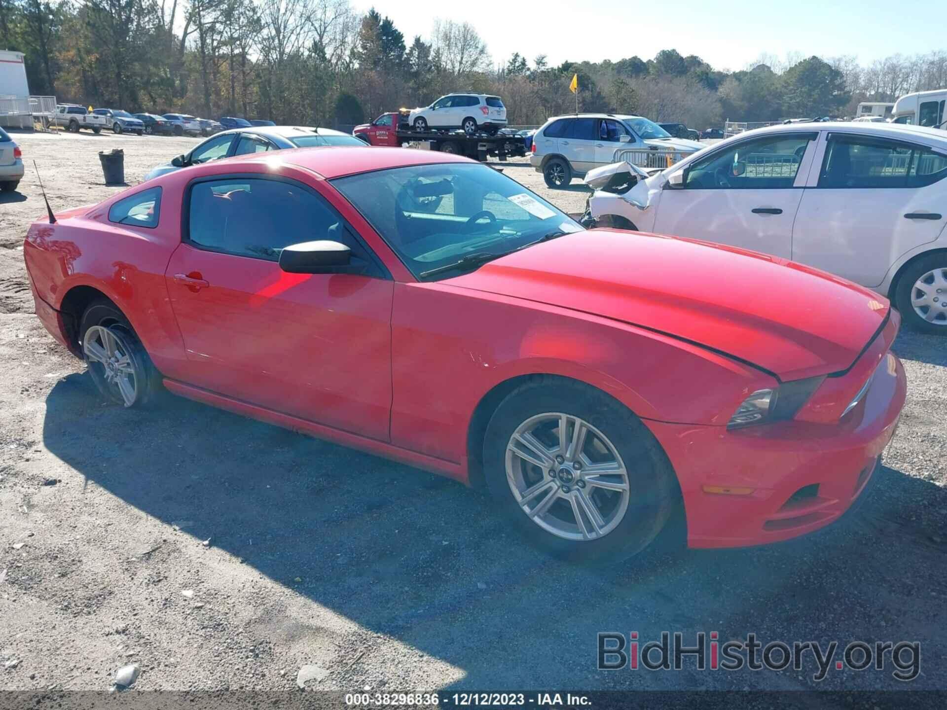 Photo 1ZVBP8AM6E5246403 - FORD MUSTANG 2014