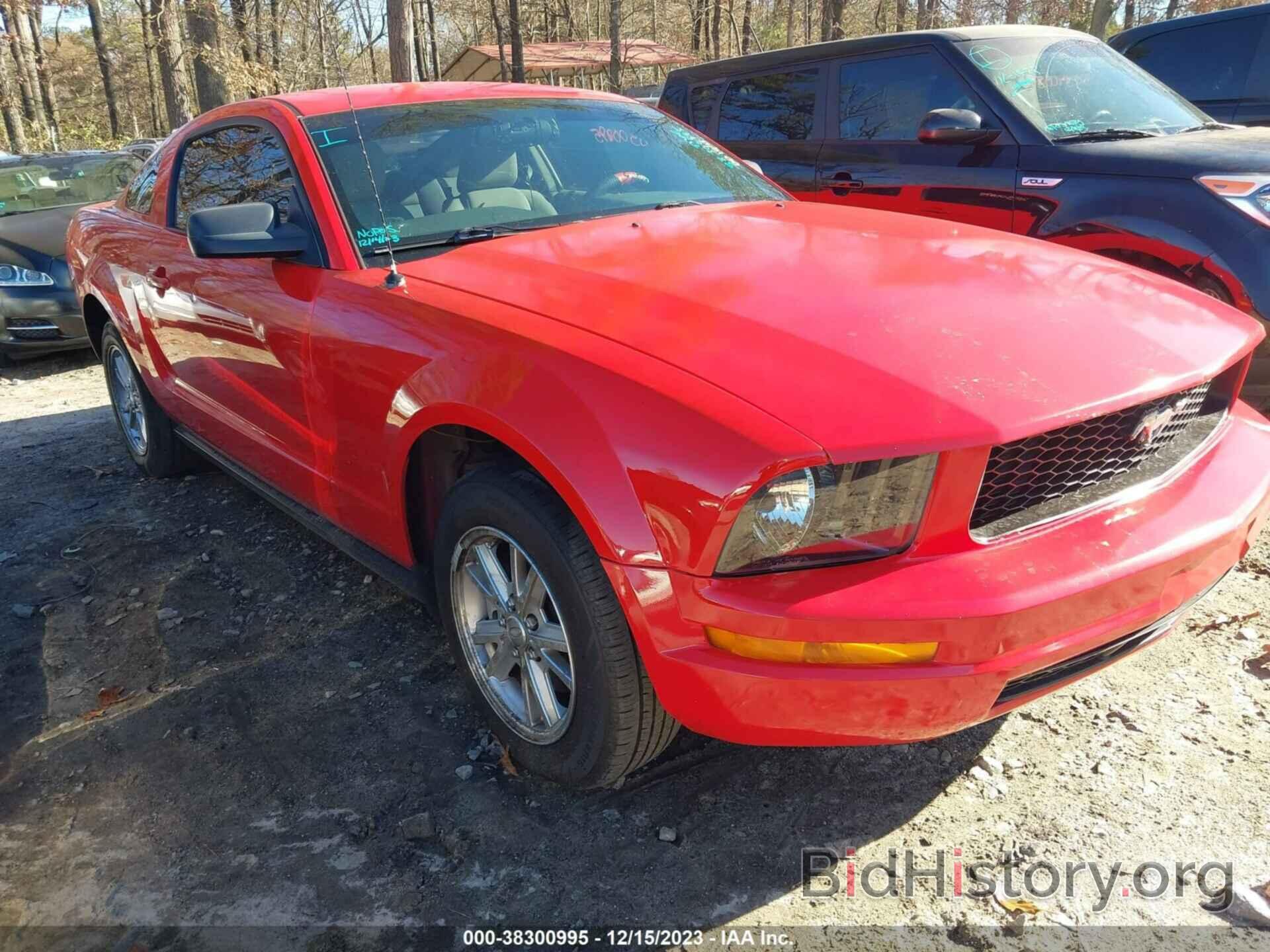 Photo 1ZVHT80N785150784 - FORD MUSTANG 2008