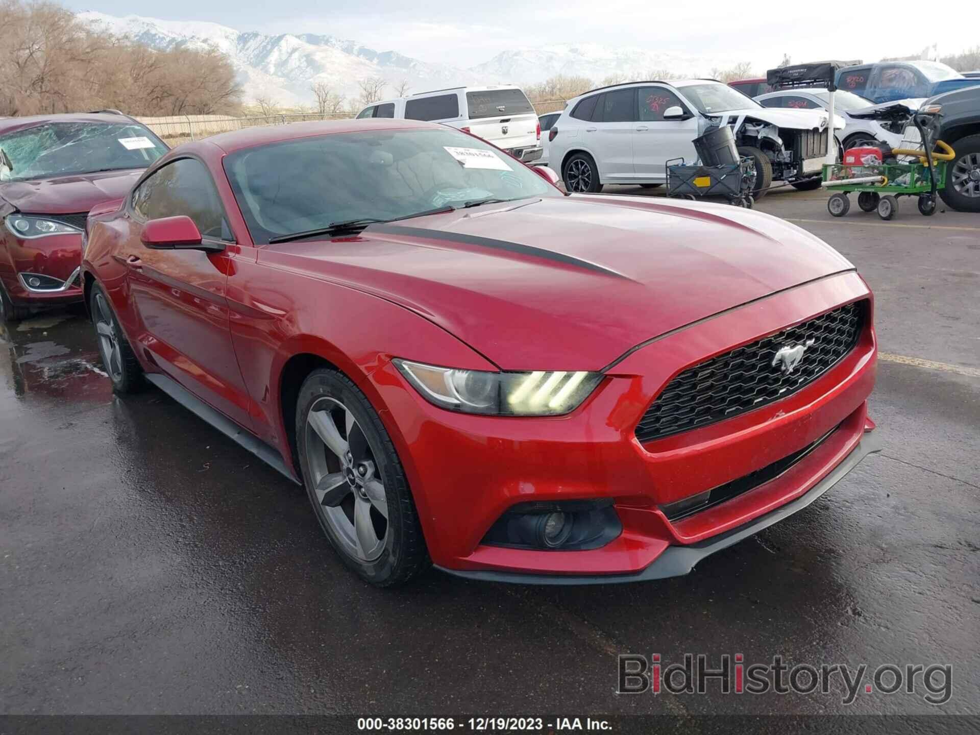 Photo 1FA6P8AM7F5431507 - FORD MUSTANG 2015