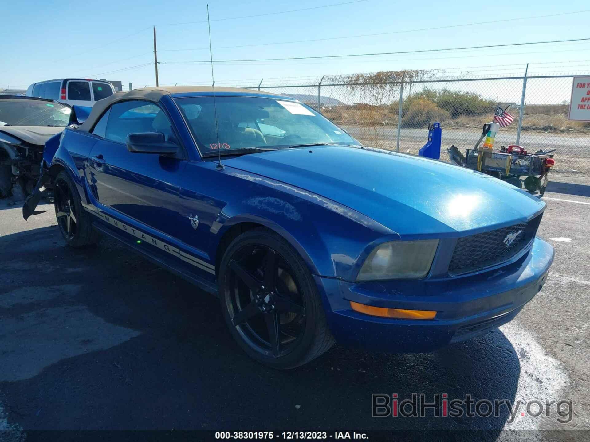 Photo 1ZVHT84N795125427 - FORD MUSTANG 2009